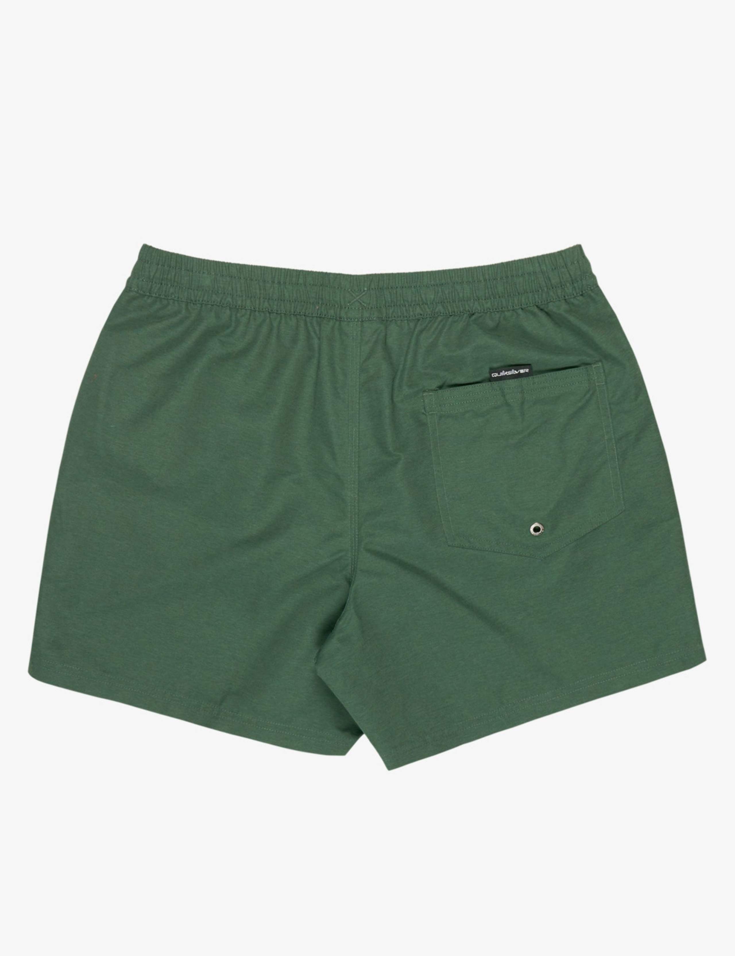 Everyday Jam/Volley Swim Shorts 5 of 5