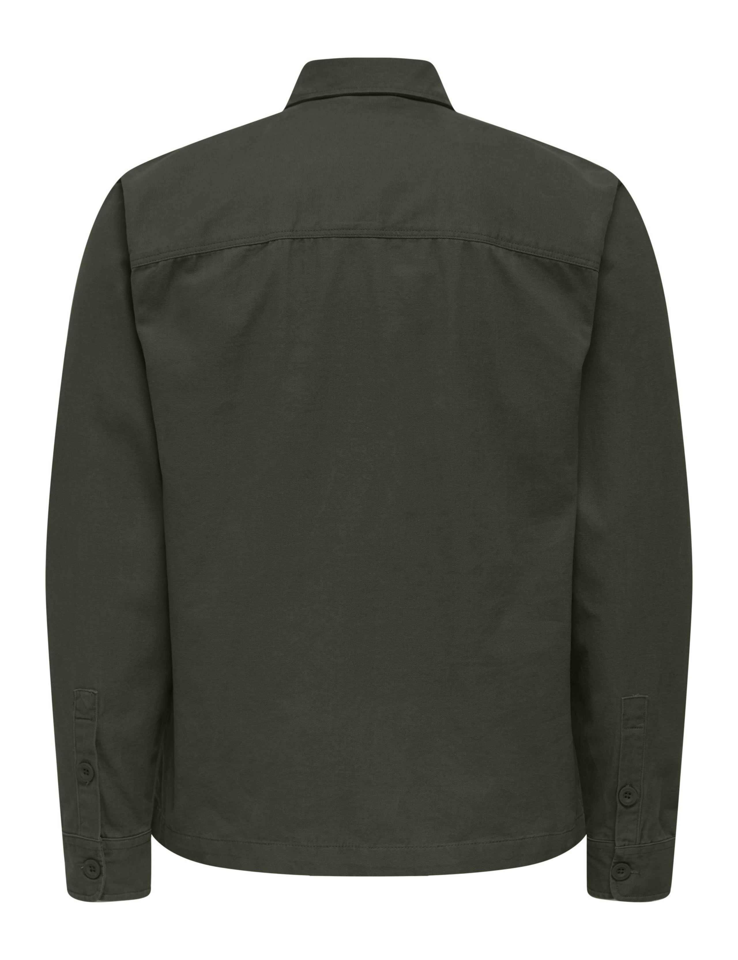 Regular Fit Pure Cotton Canvas Overshirt 2 of 2