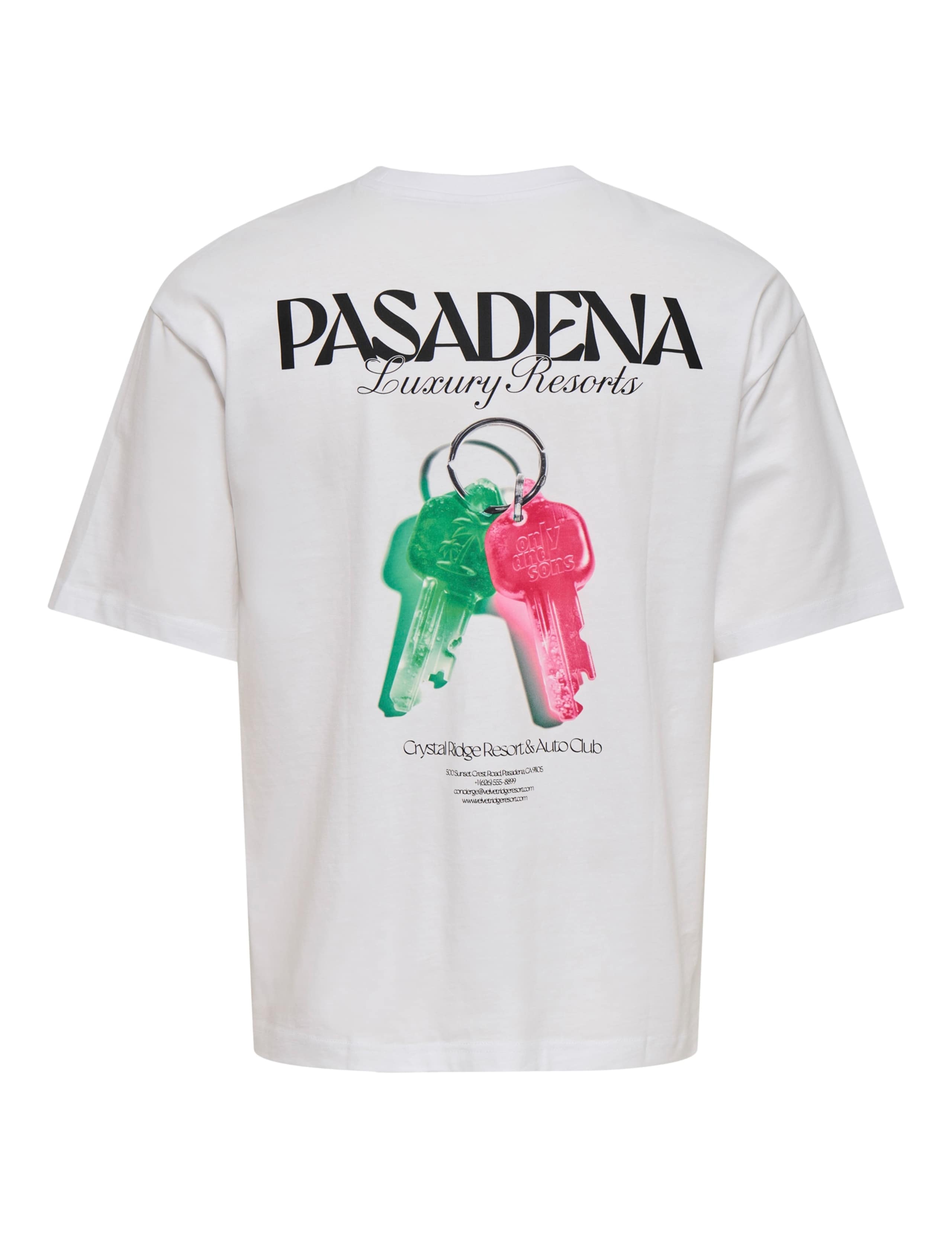 Pure Cotton Pasadena T-Shirt 2 of 2