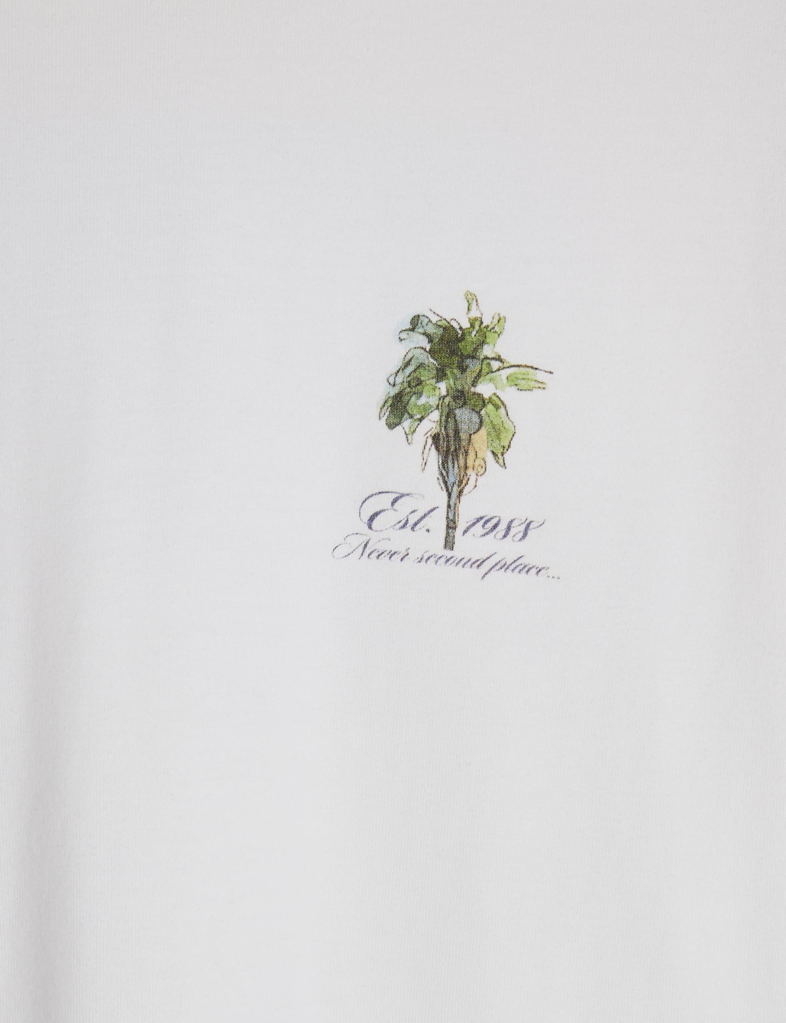 Oversized Pure Cotton F1 Racecar T-Shirt 6 of 6