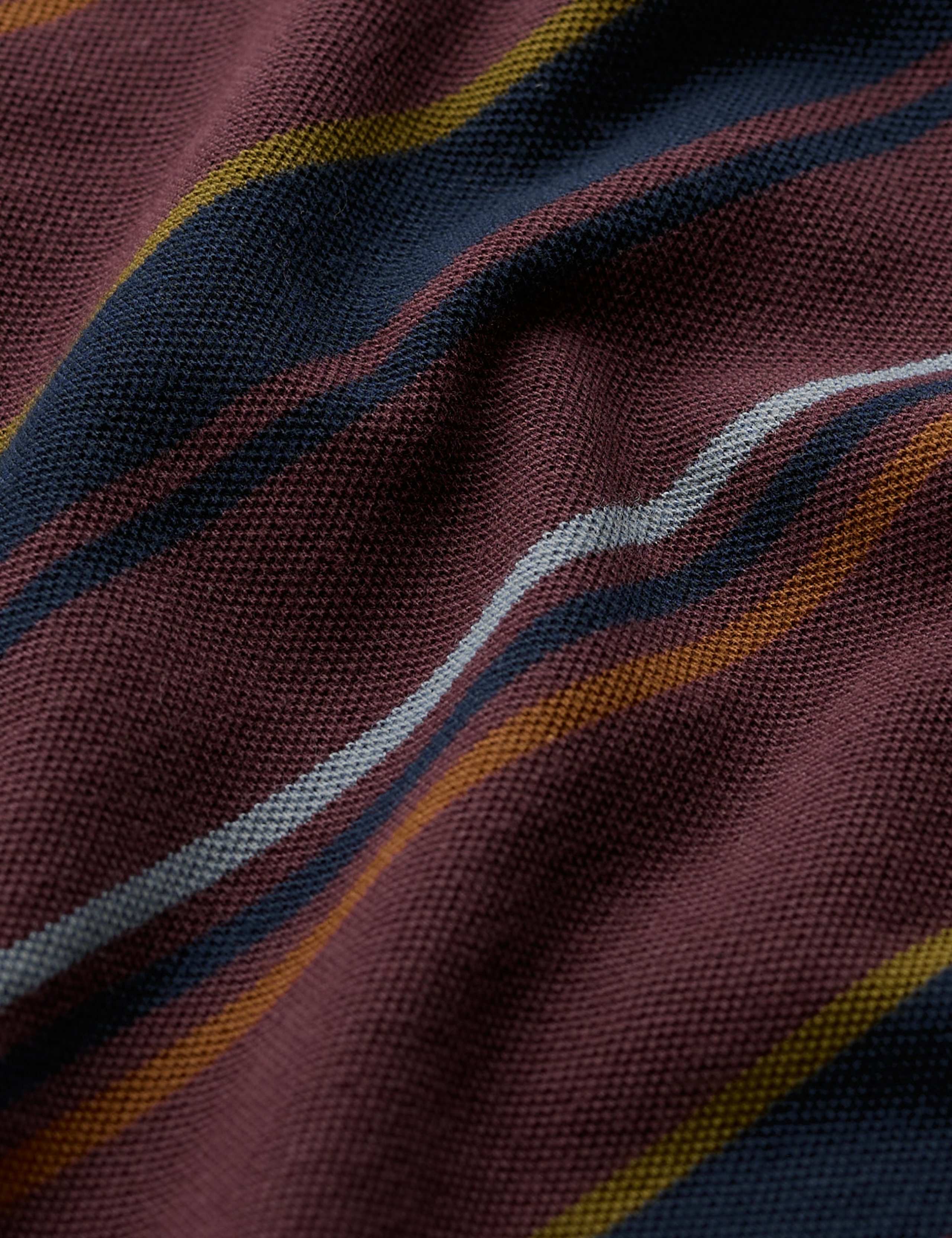 Pure Cotton Striped Polo Shirt 4 of 5