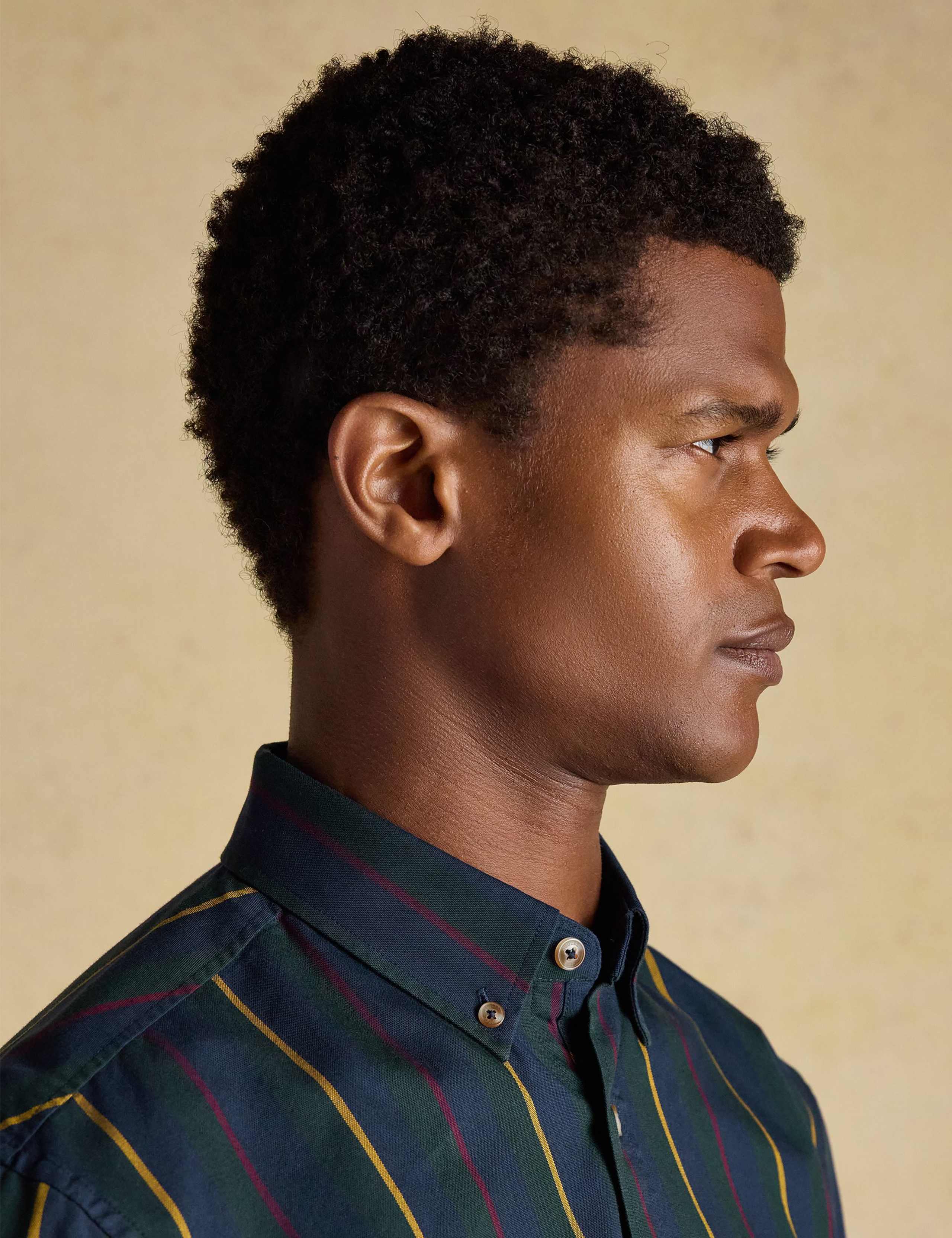 Regular Fit Pure Cotton Stripe Oxford Shirt 9 of 11