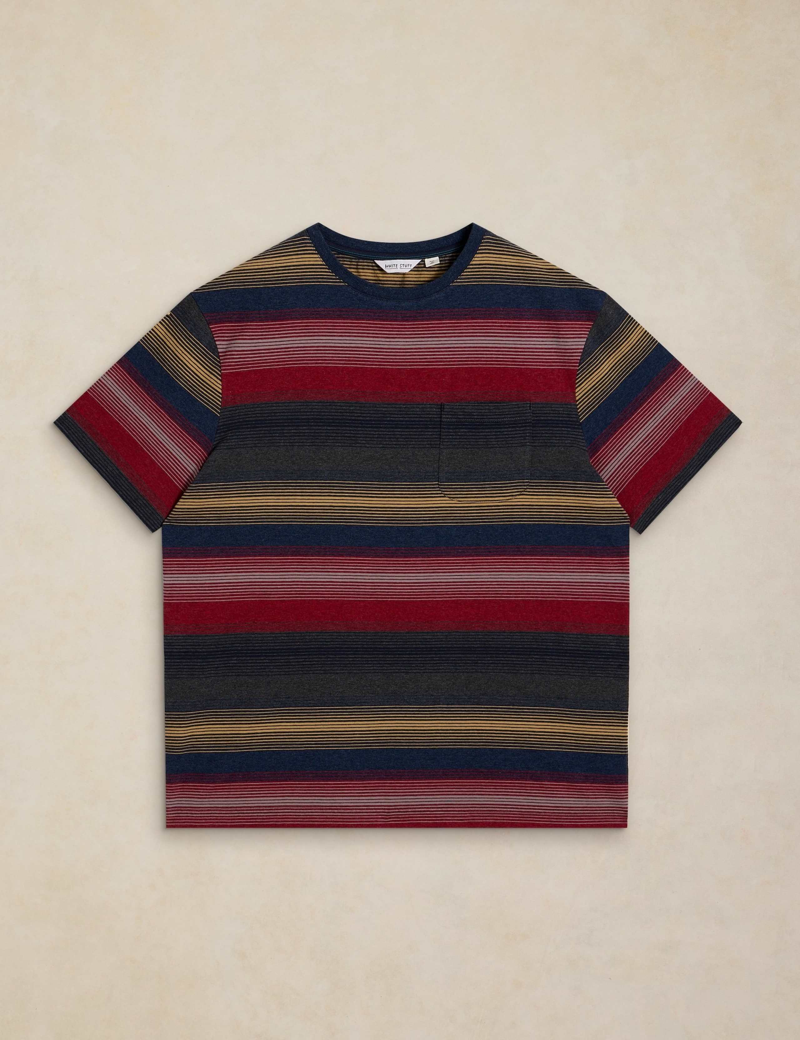 Pure Cotton Crew Neck Striped T-Shirt 2 of 6