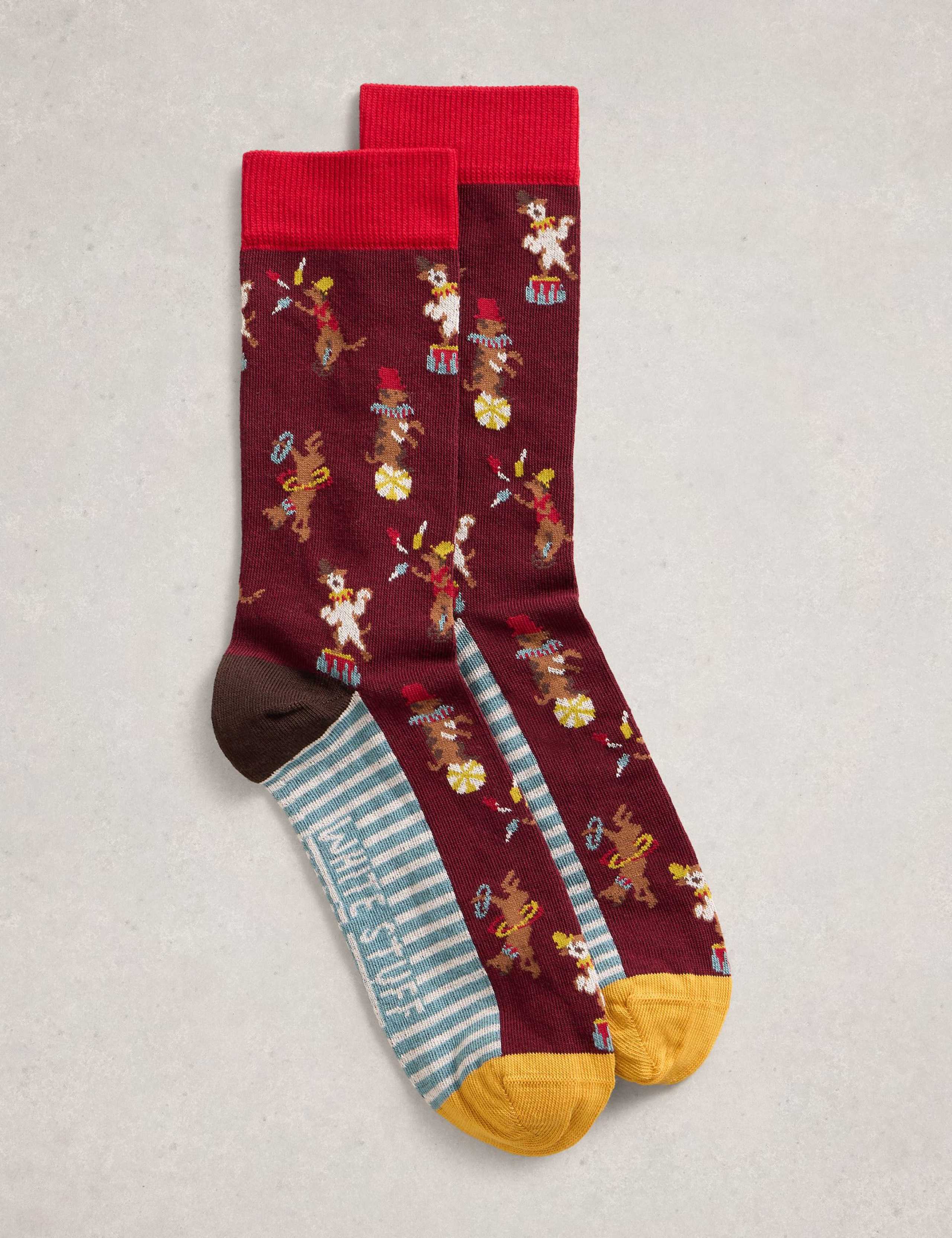 Circus Cotton Rich Socks 1 of 2