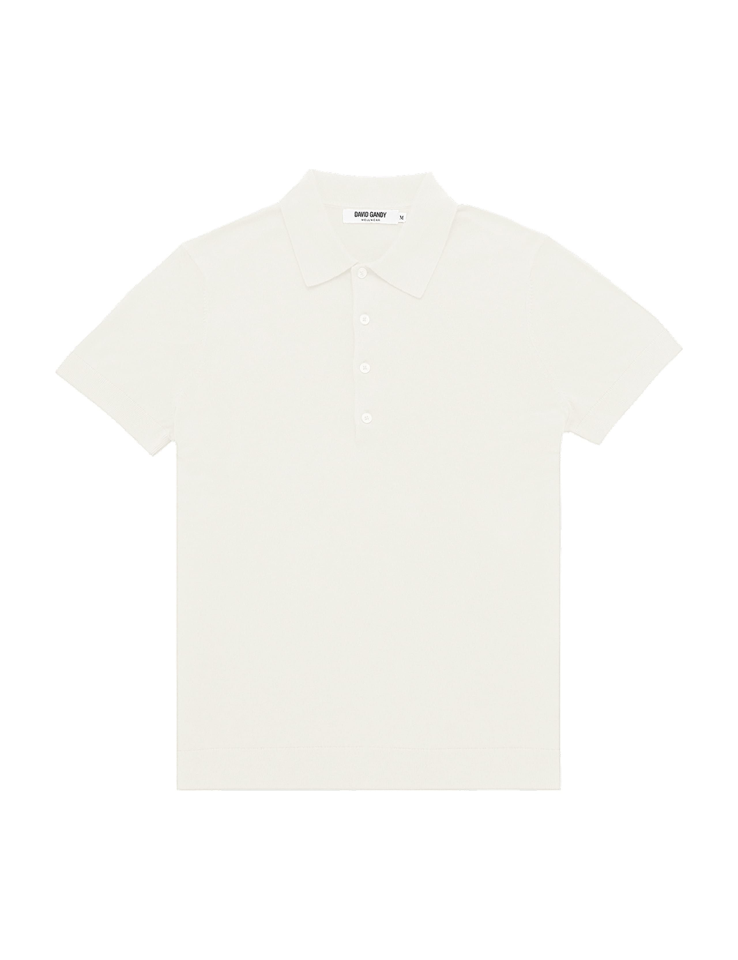 Cotton Rich Knitted Polo Shirt with Silk 3 of 3