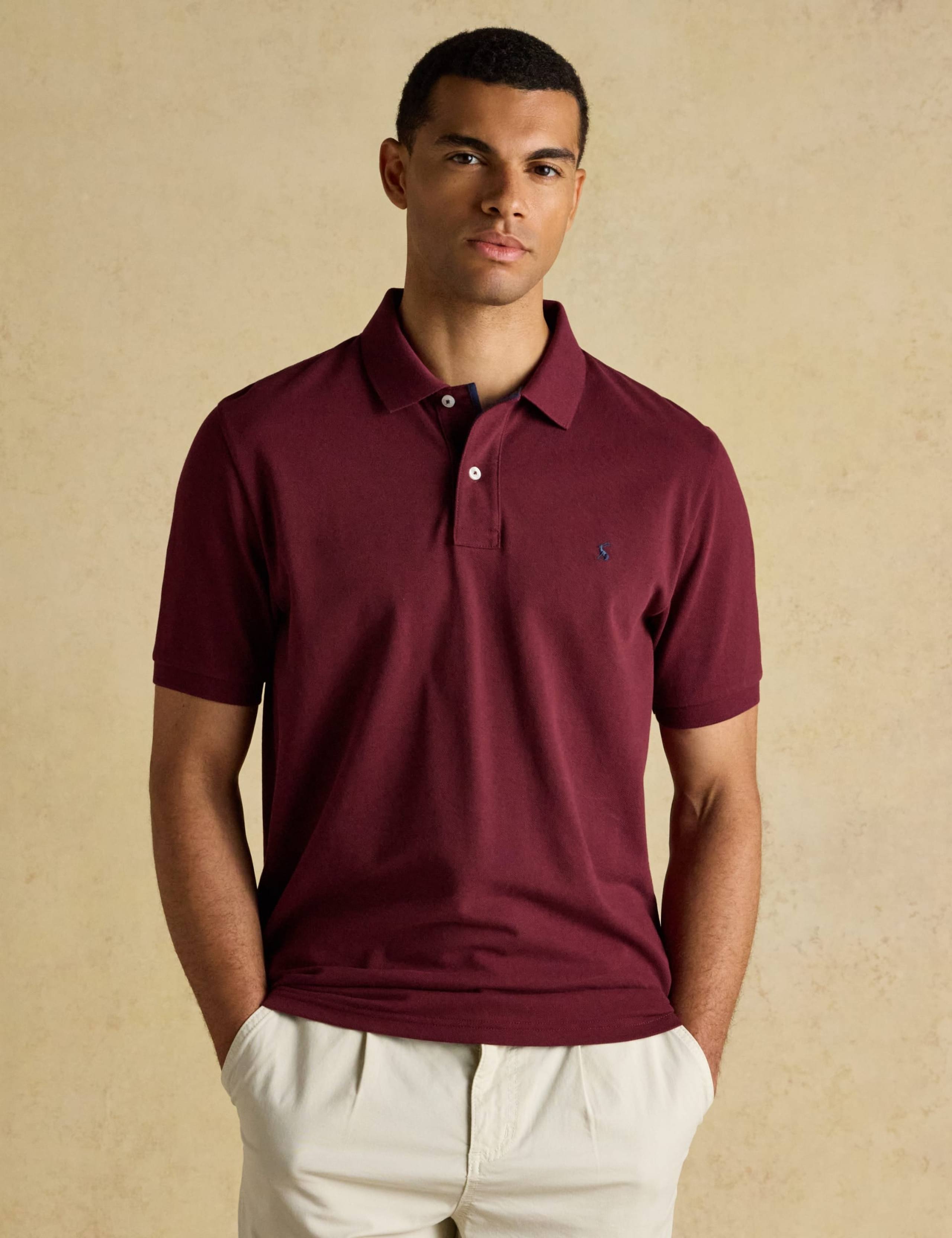 5 Pack Regular Fit Pure Cotton Polo Shirts 8 of 9