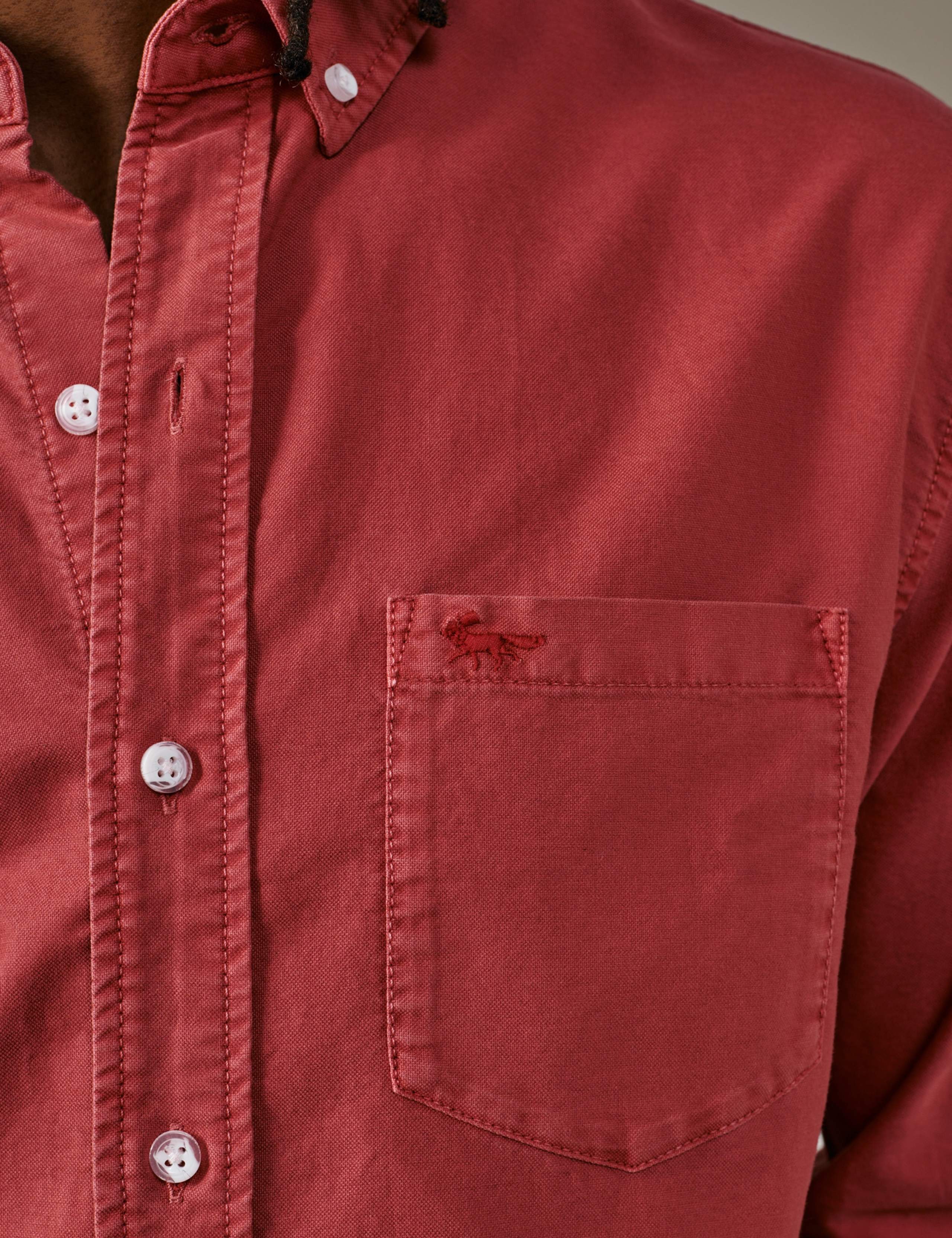 Regular Fit Pure Cotton Oxford Shirt 4 of 5