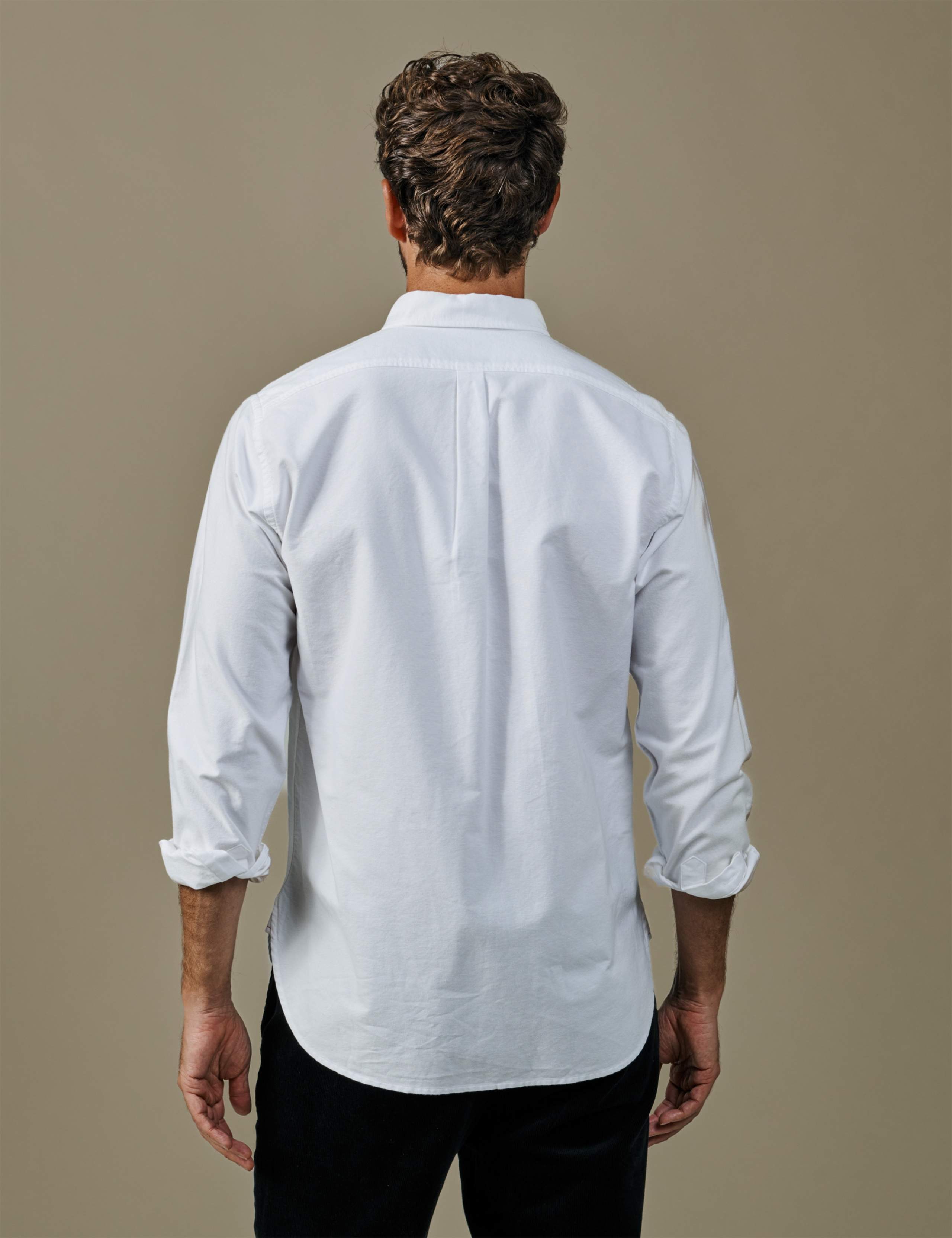 Regular Fit Pure Cotton Oxford Shirt 3 of 3