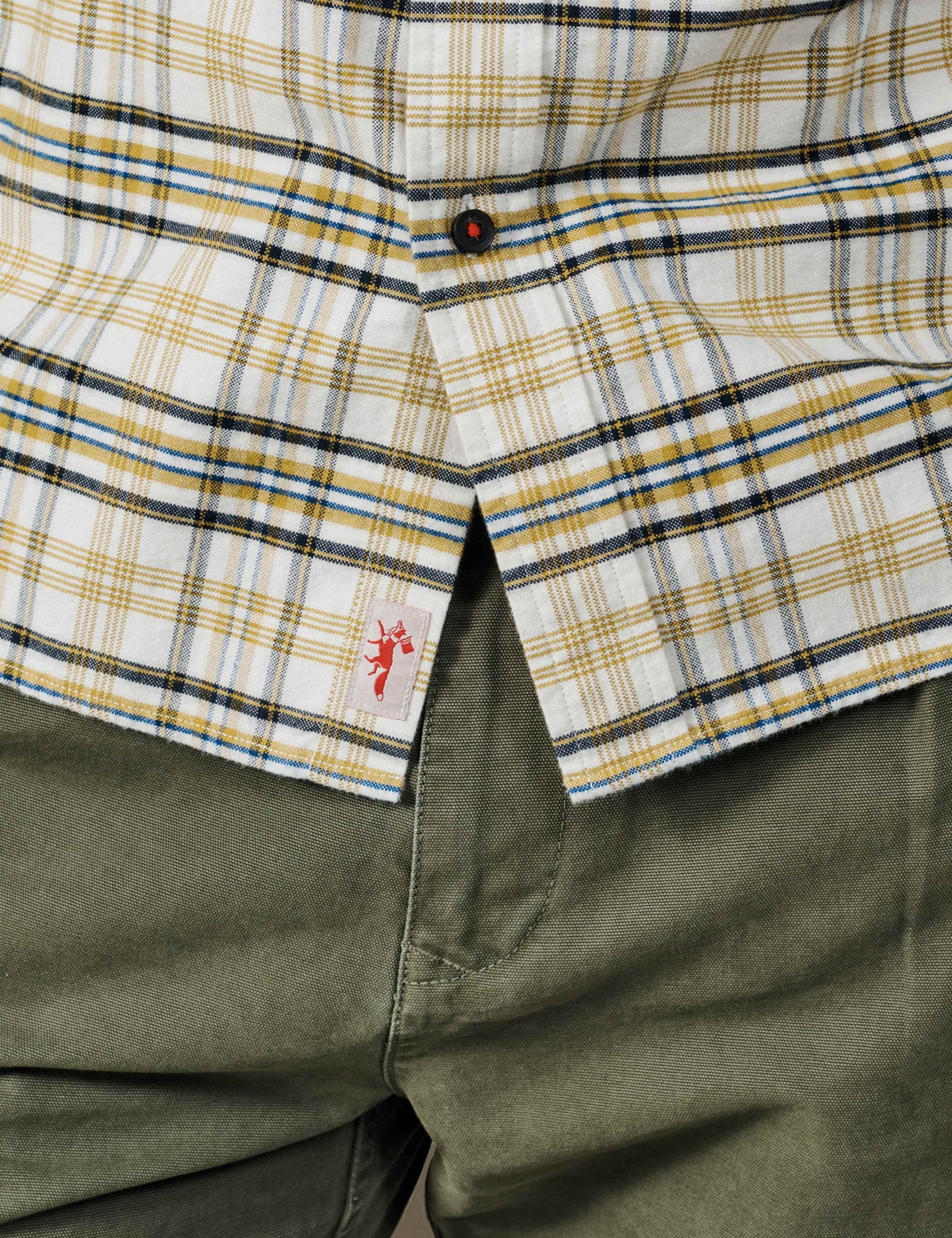 Regular Fit Pure Cotton Check Oxford Shirt 5 of 5