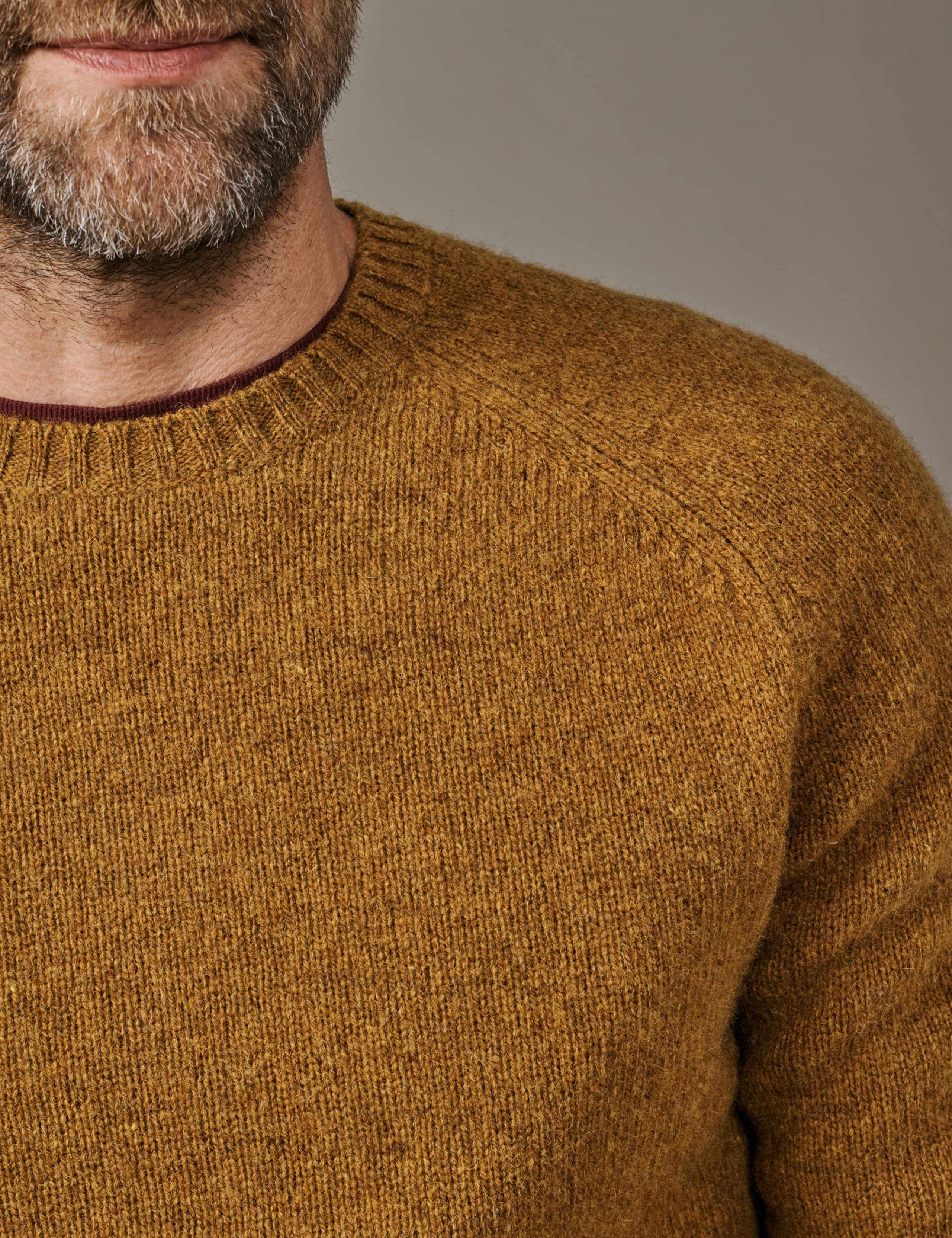 Pure Wool Crew Neck Jumper 4 of 4