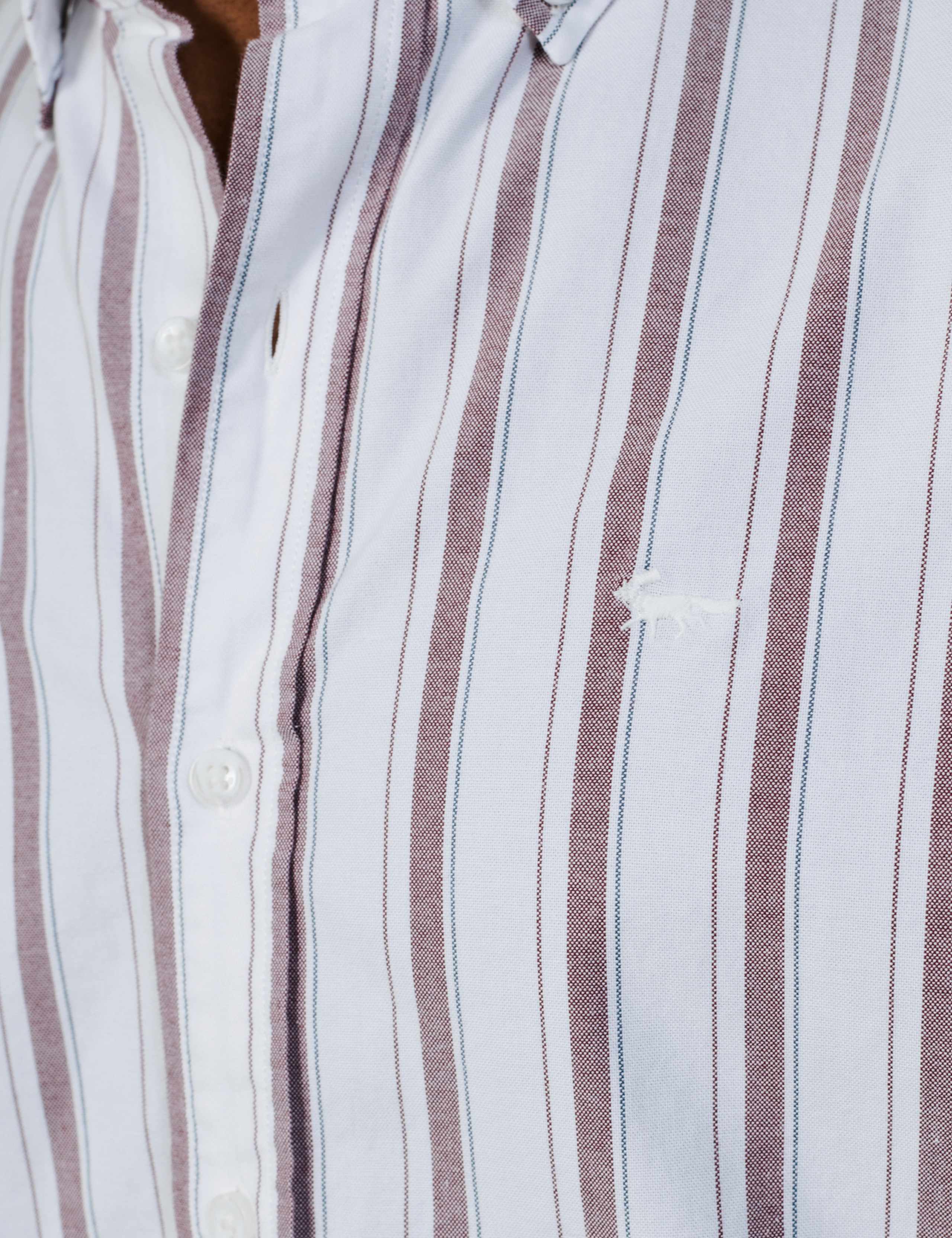 Relaxed Fit Pure Cotton Striped Oxford Shirt 4 of 5