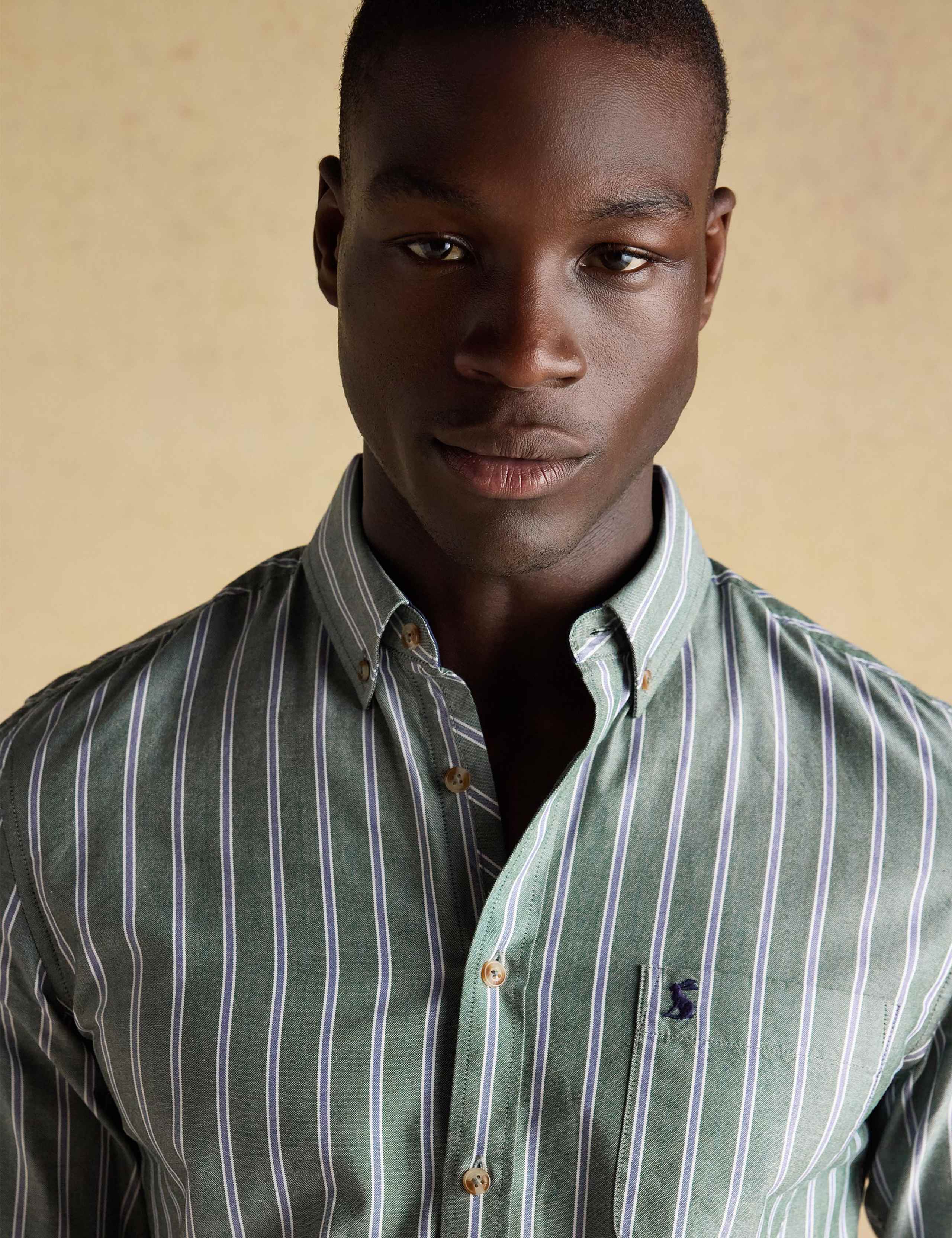 Regular Fit Pure Cotton Striped Oxford Shirt 5 of 10