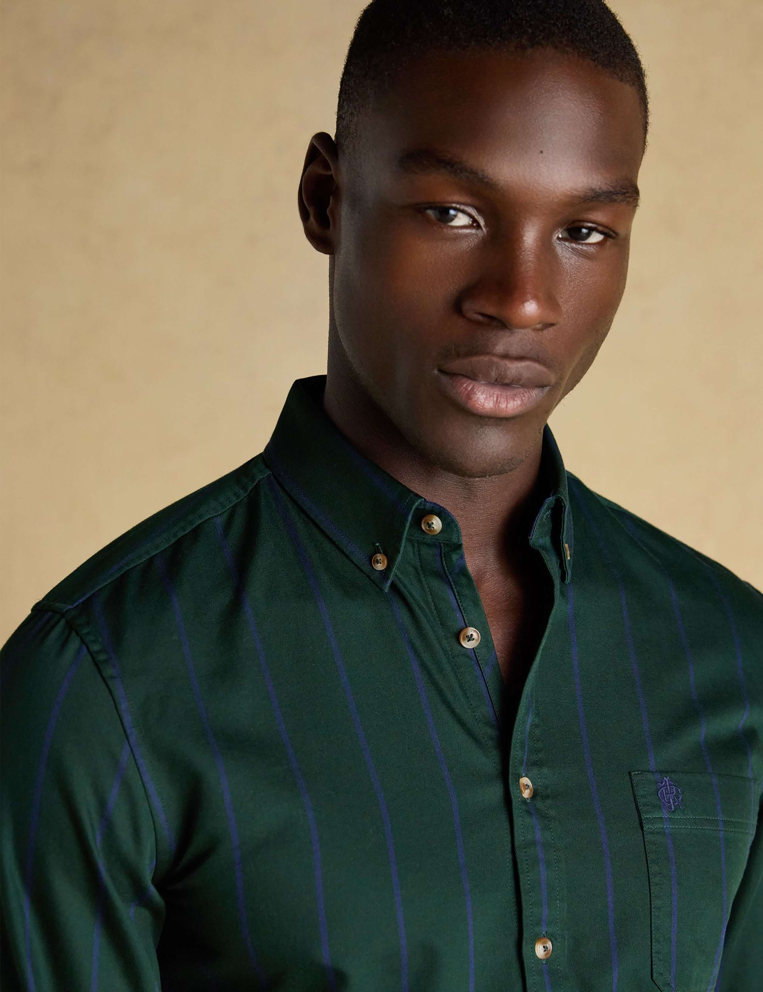 Regular Fit Pure Cotton Striped Oxford Shirt 5 of 11