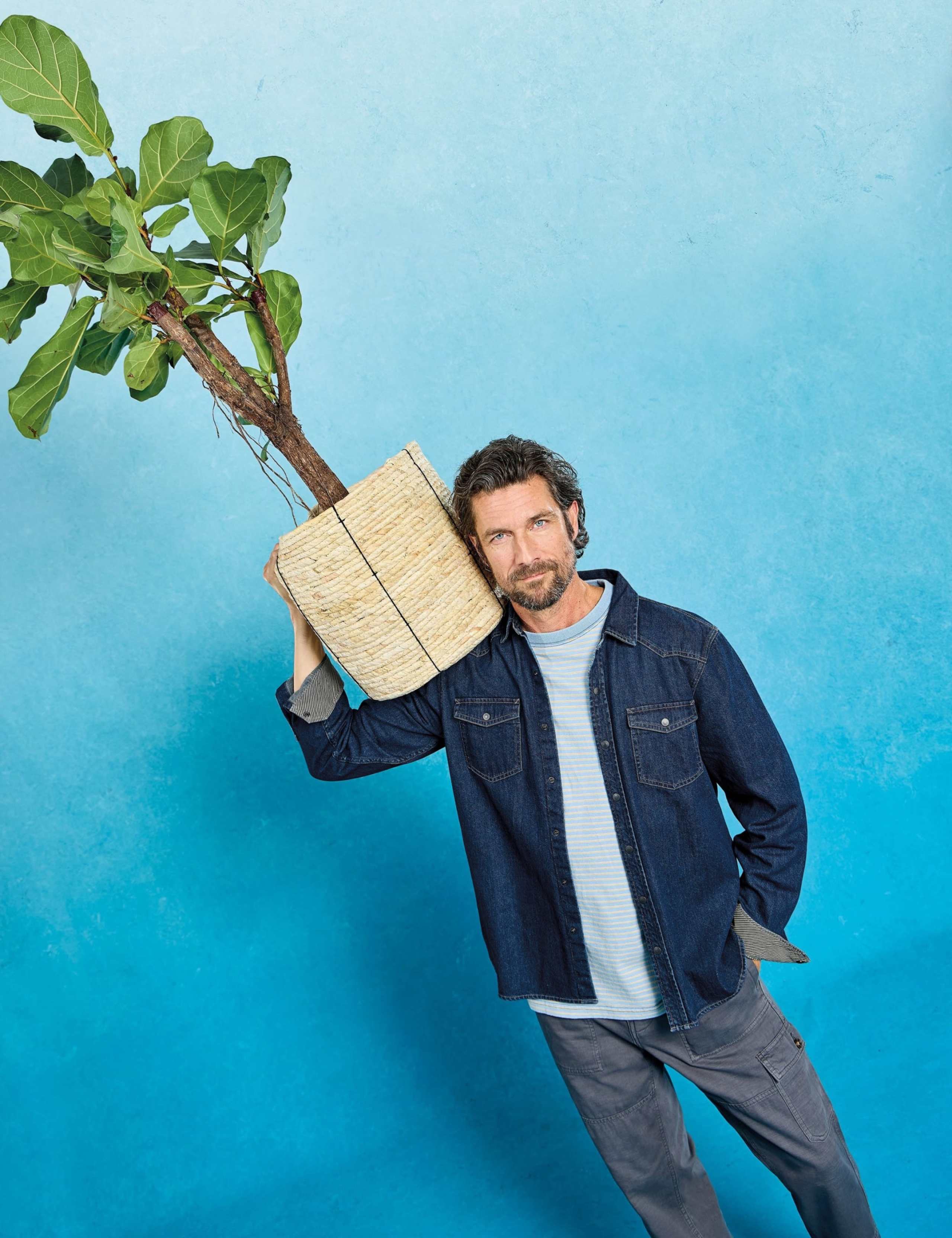 Regular Fit Pure Cotton Striped Shirt 7 of 7