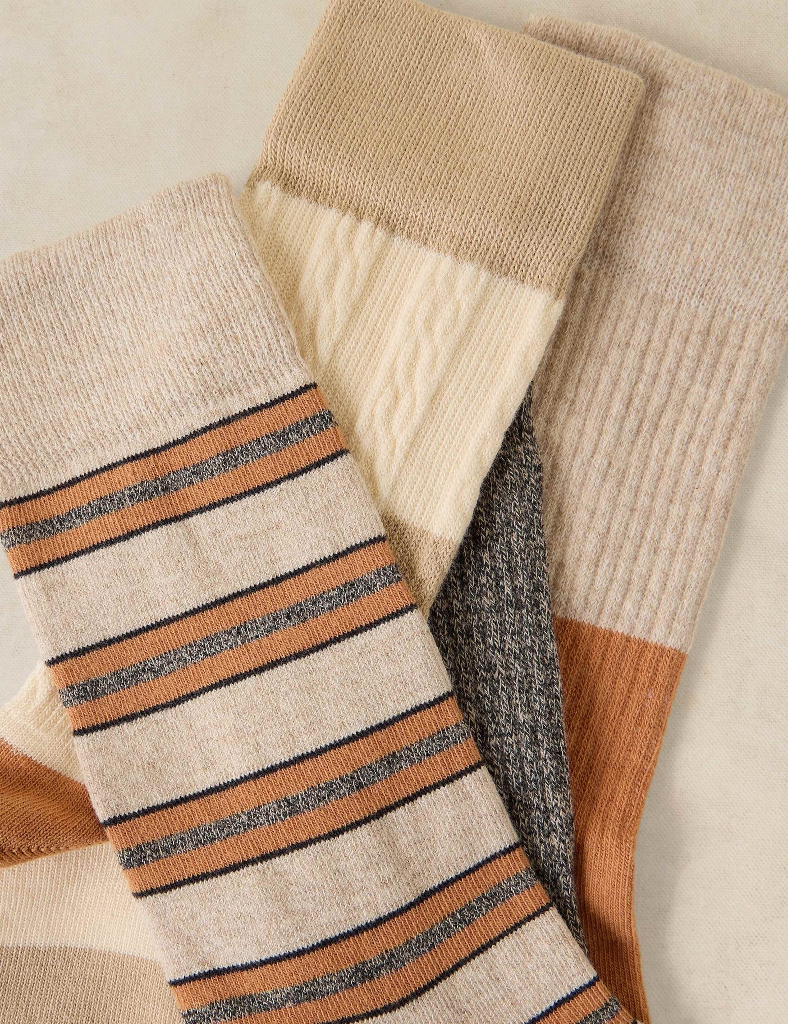 4 Pack Cotton Rich Robin Christmas Ankle Socks 4 of 4