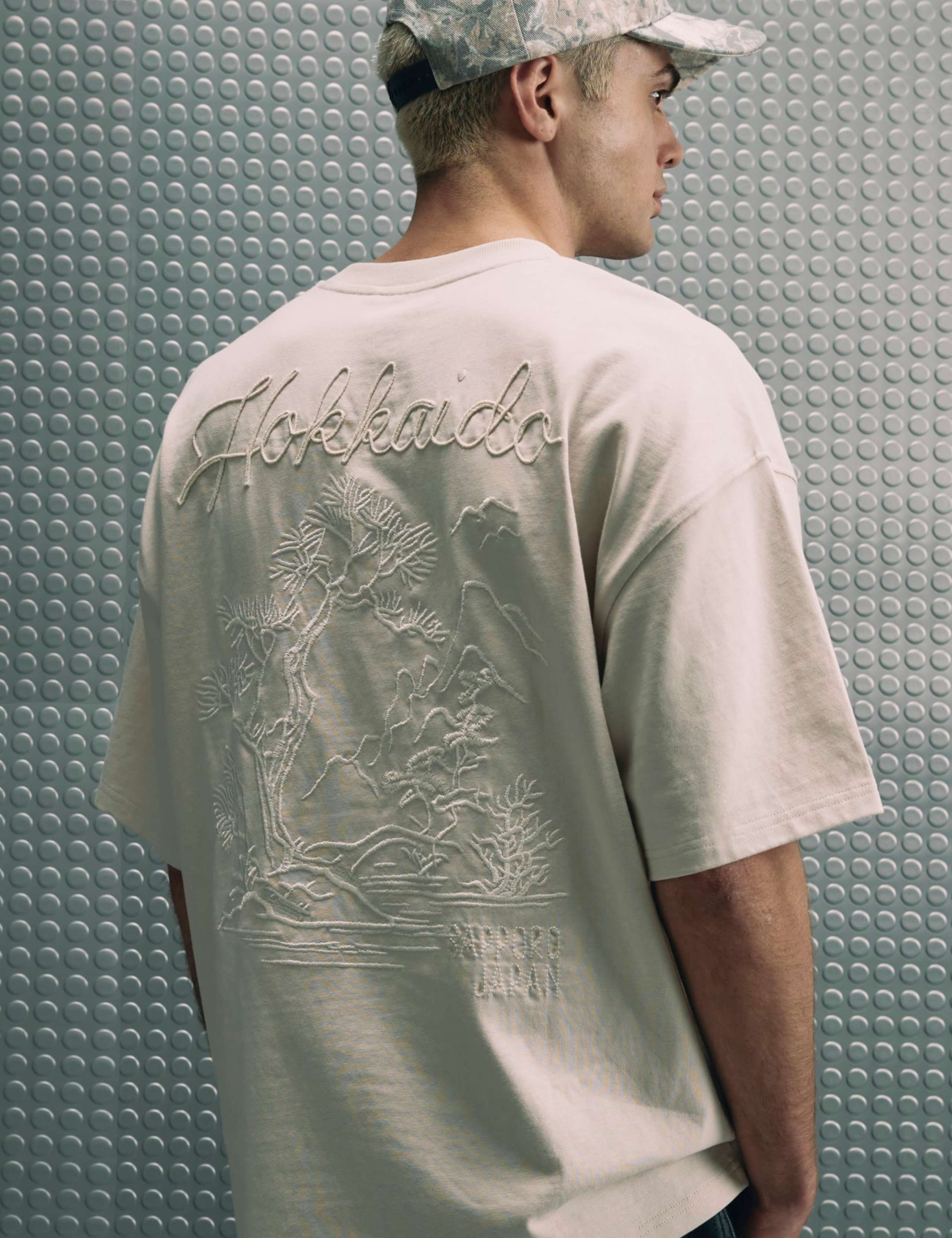 Oversized Cotton Embroidered T-Shirt 4 of 6