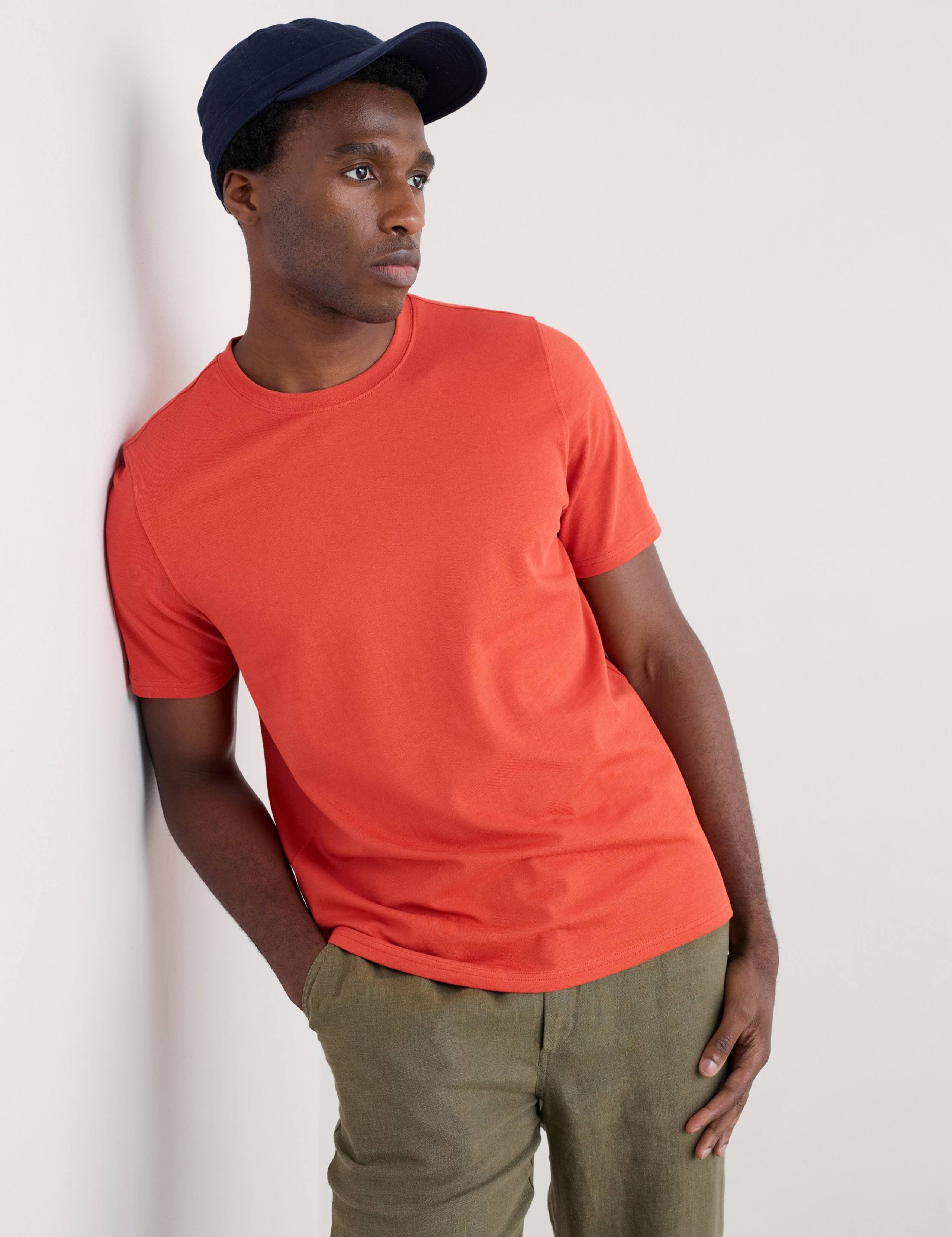 Pure Cotton Crew Neck T-Shirt 3 of 4