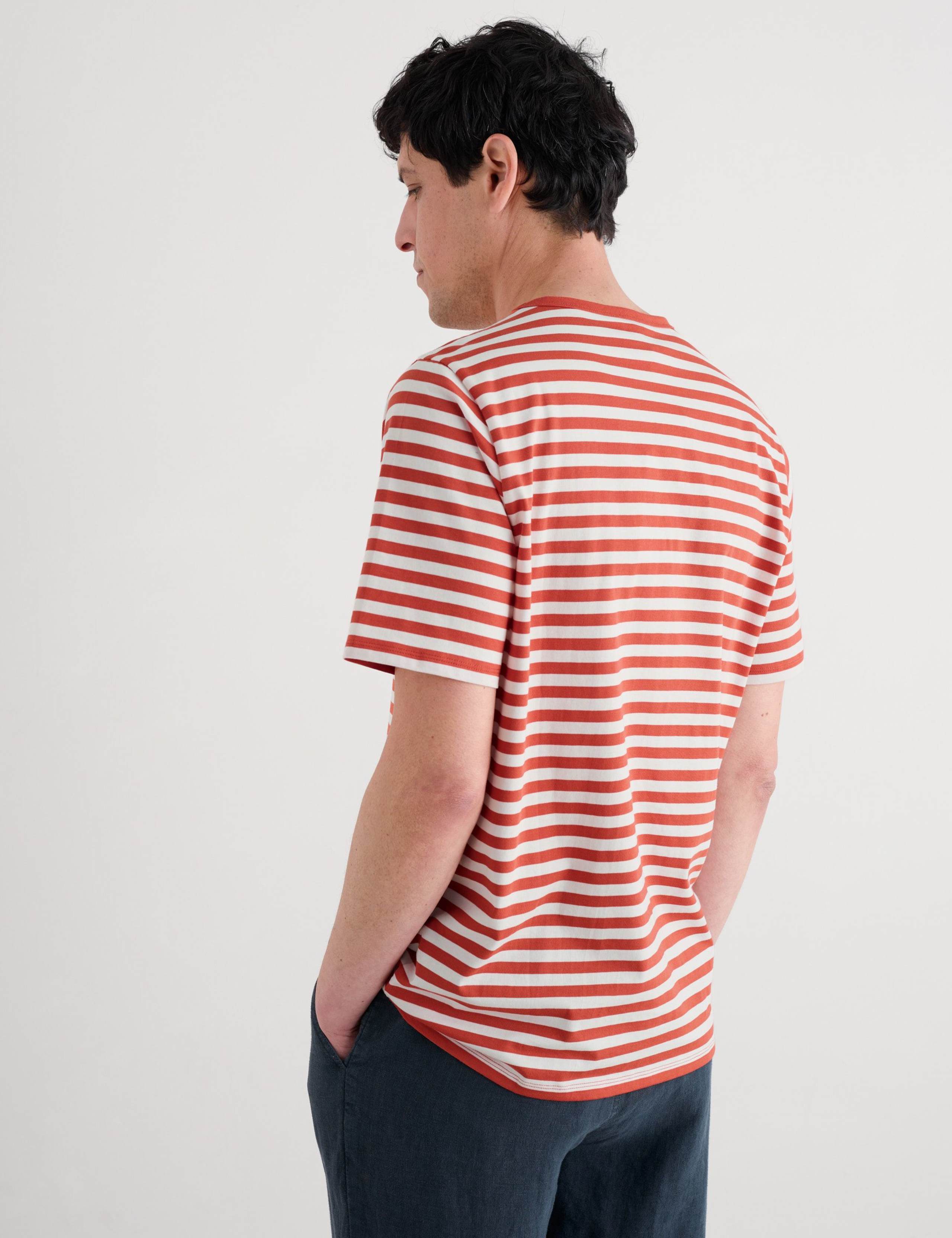 Pure Cotton Striped T-Shirt 4 of 4