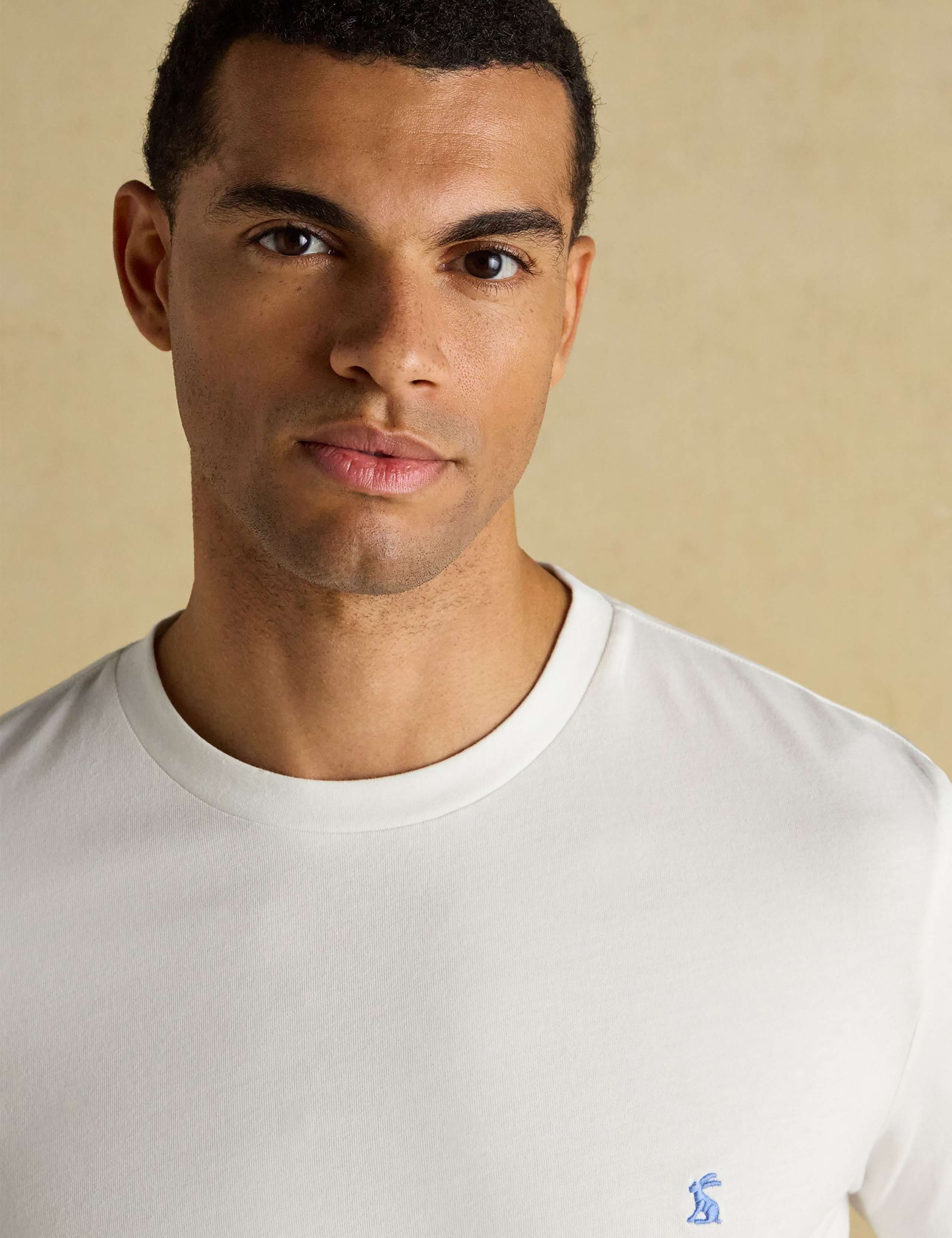 Pure Cotton Crew Neck T-Shirt 5 of 6