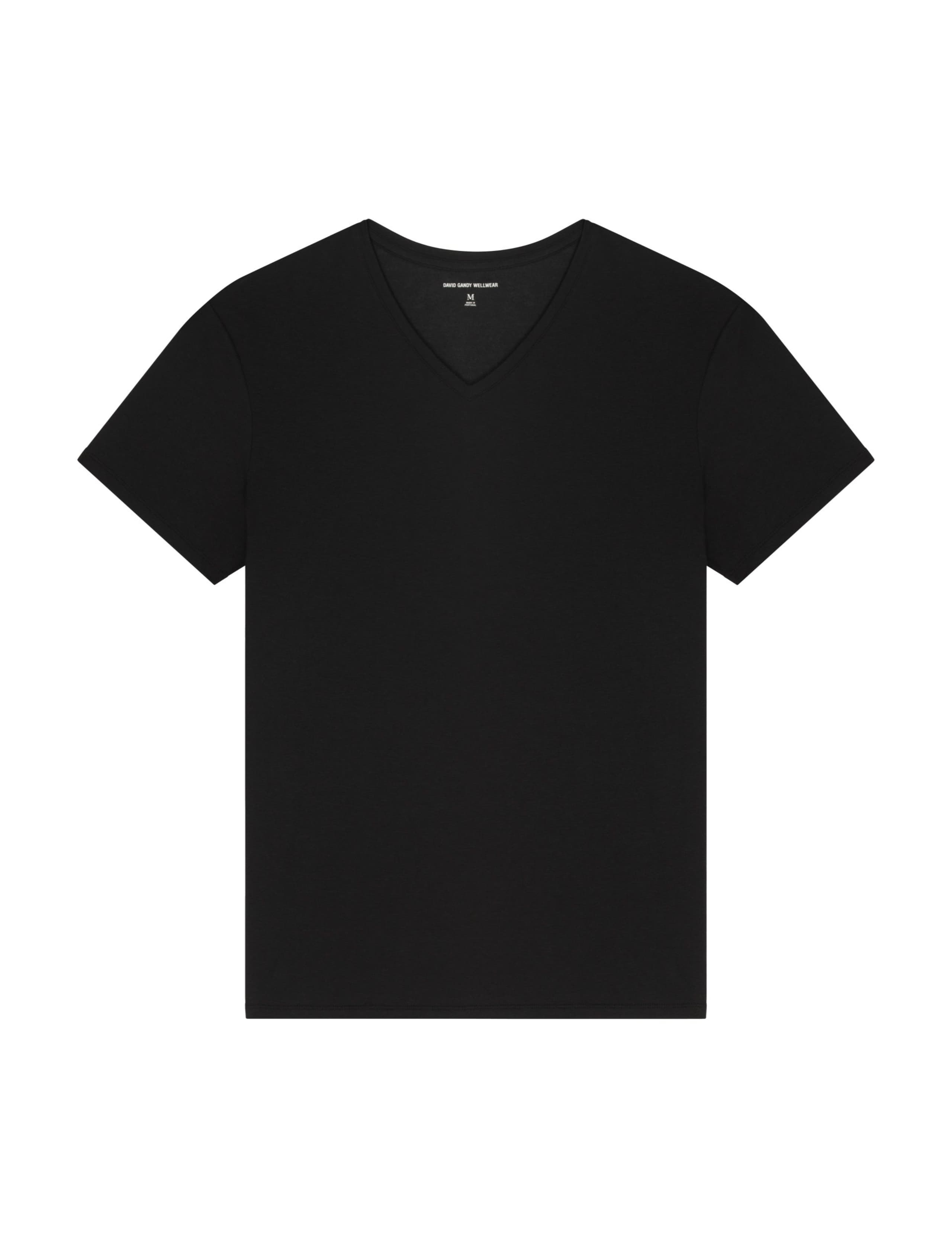 Ultimate Cotton Modal V-Neck T-Shirt 2 of 3