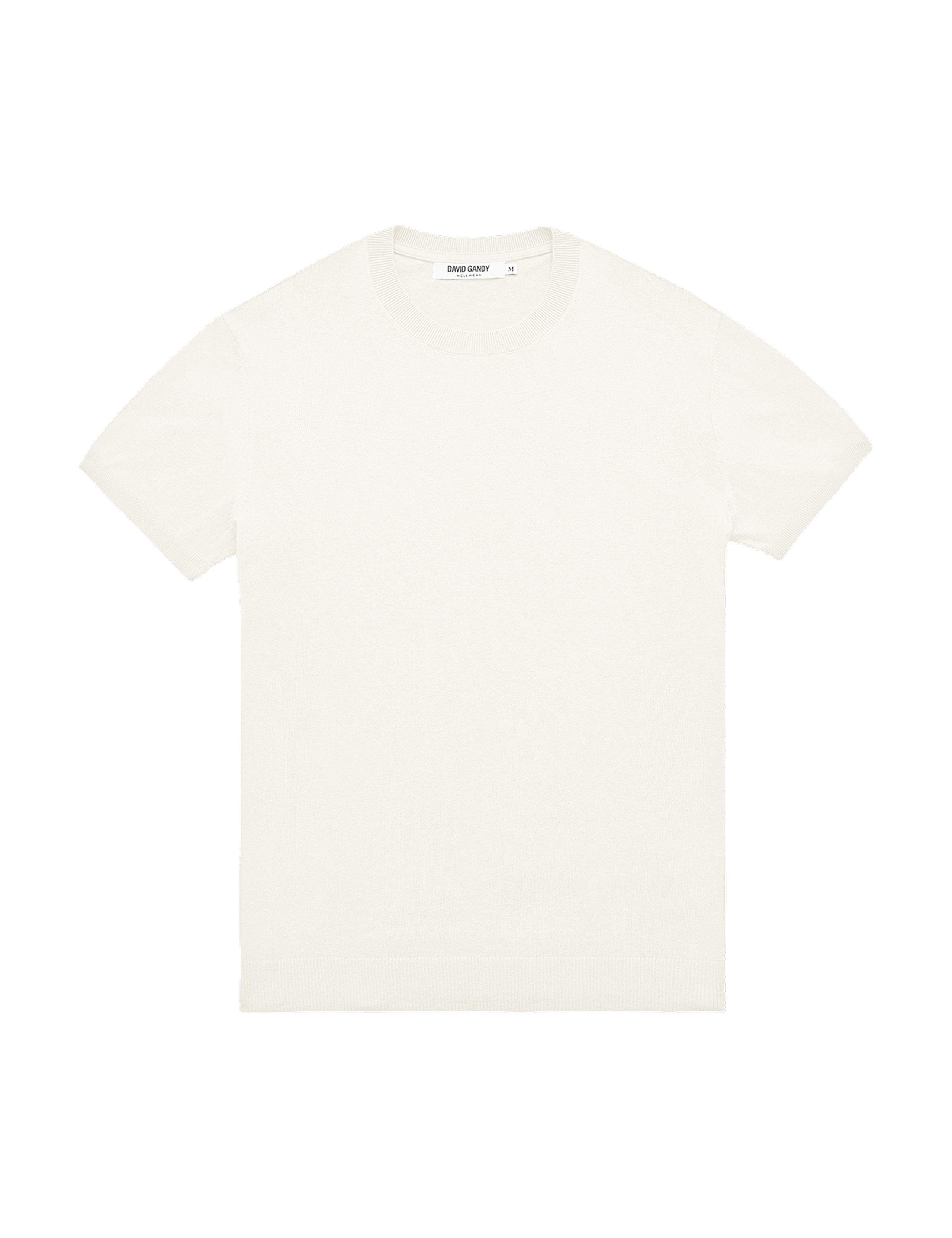 Cotton Rich Crew Neck Knitted Tee with Silk 3 of 3
