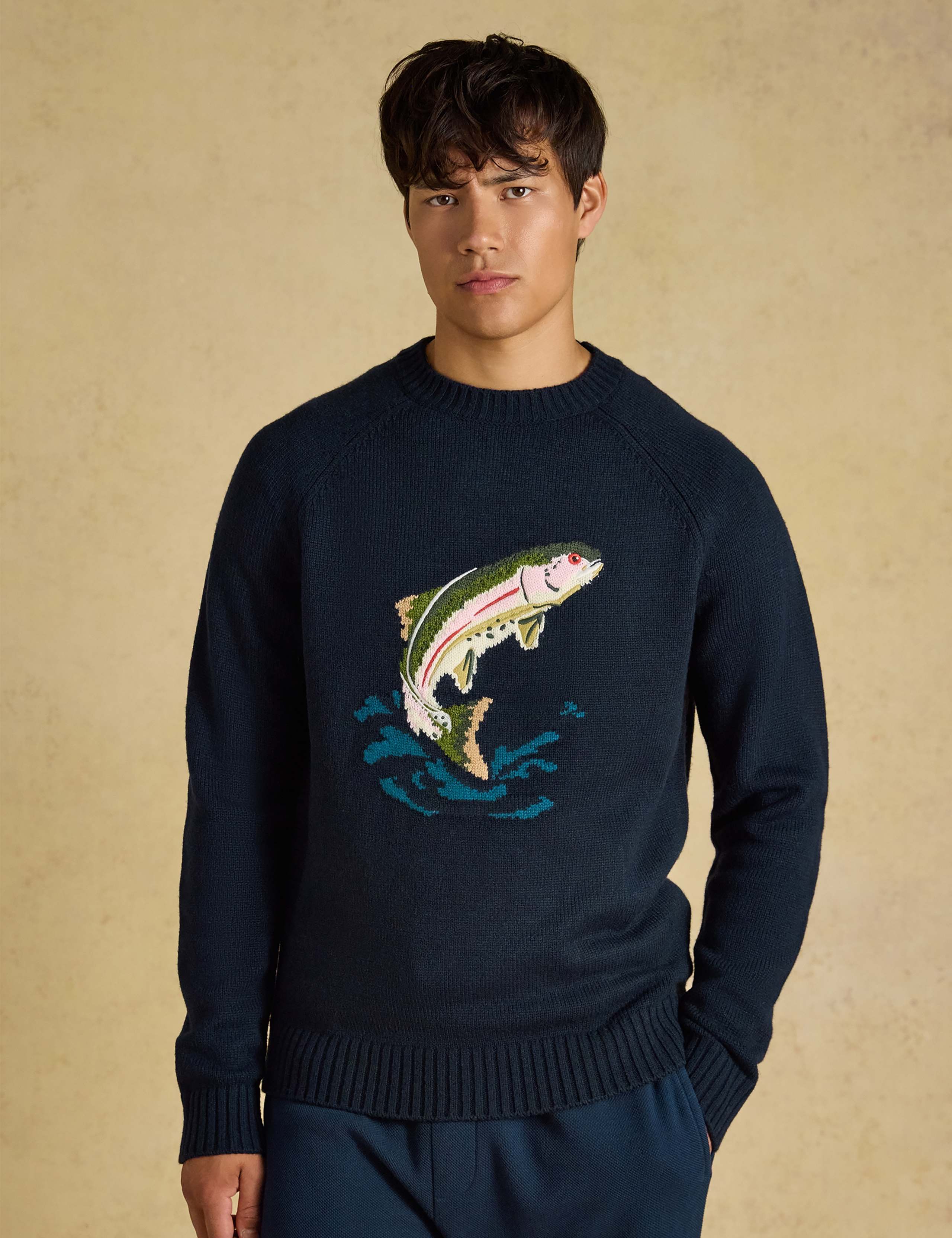 Intarsia Fish Crew Neck Jumper with Wool 1 of 6