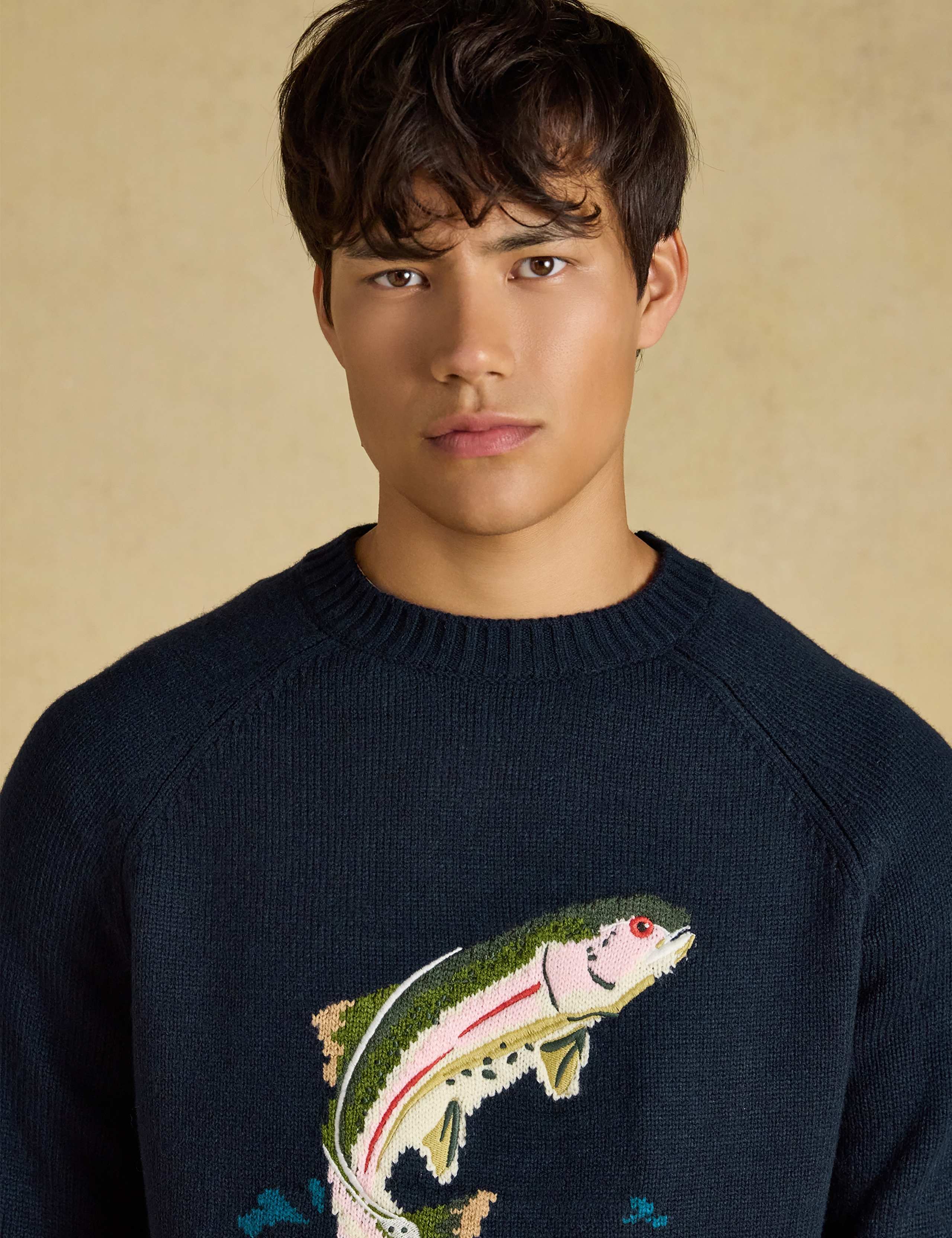 Intarsia Fish Crew Neck Jumper with Wool 3 of 6
