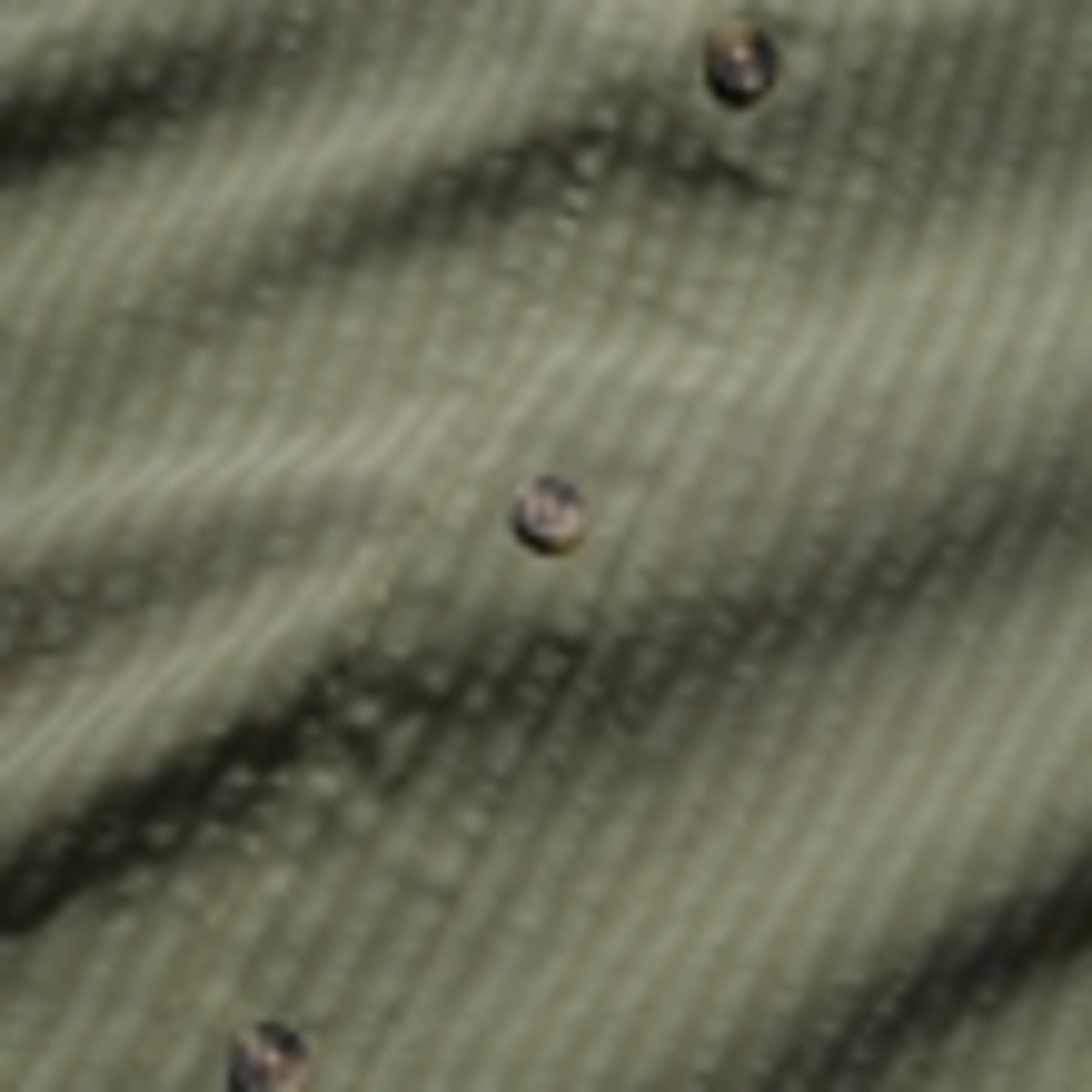 Cotton Blend Striped Overshirt 5 of 5