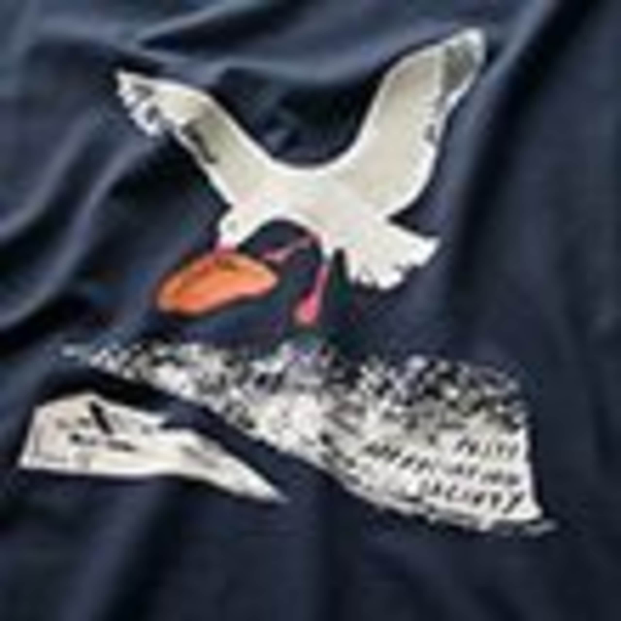 Pure Cotton Seagull Graphic T-Shirt 5 of 5