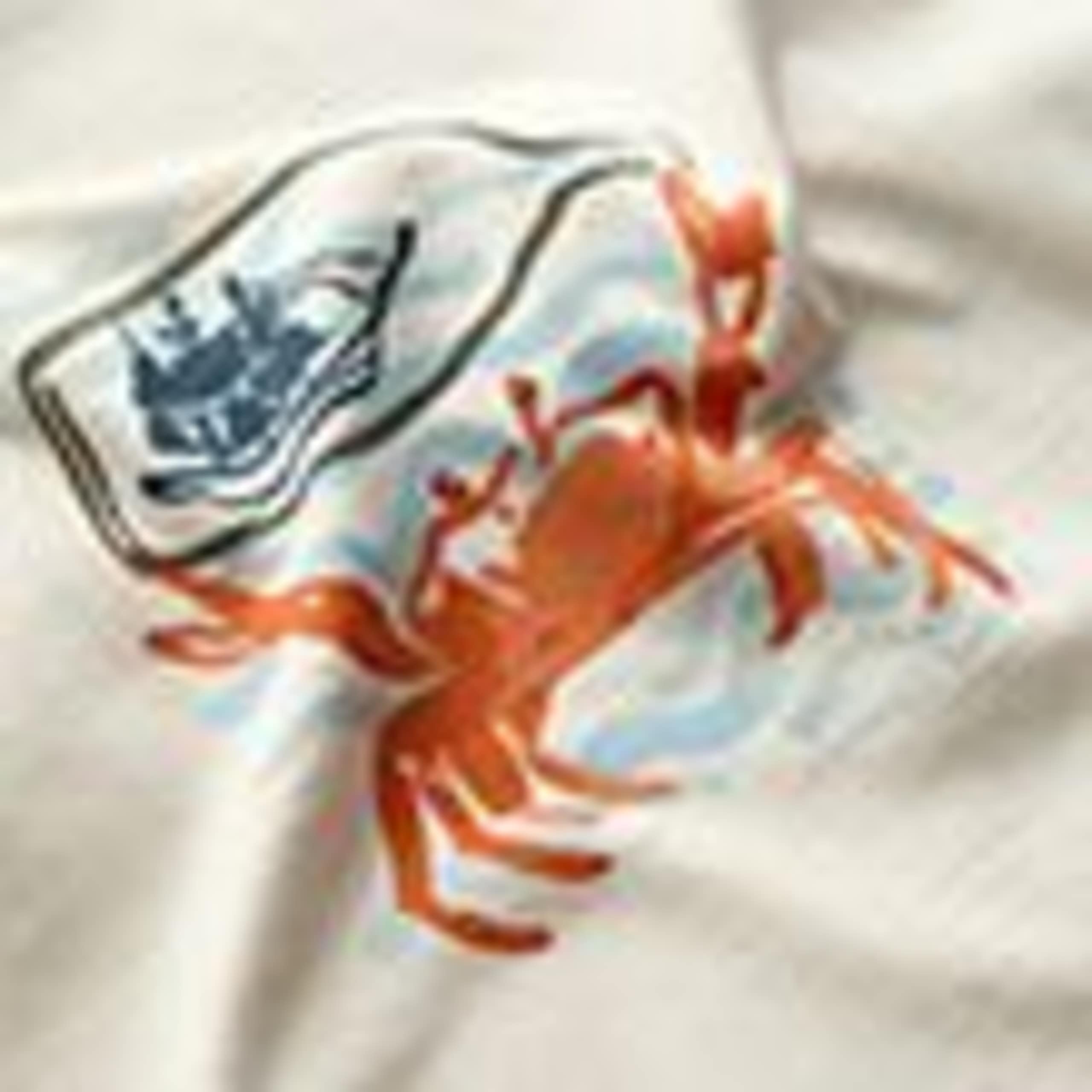Pure Cotton Crab Graphic Crew Neck T-Shirt 5 of 5