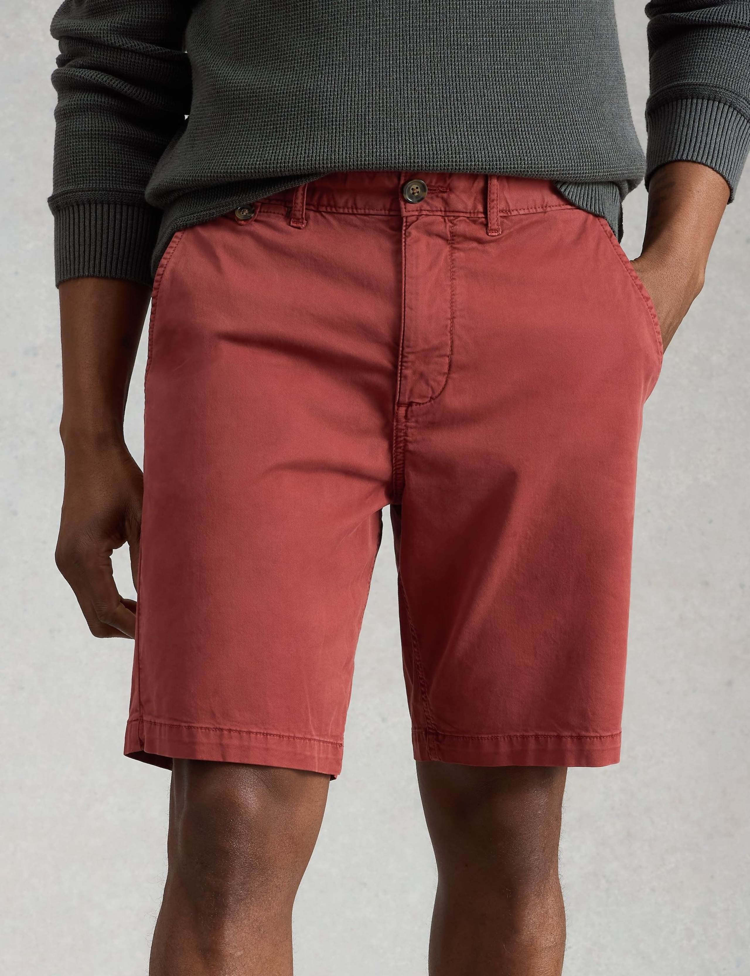 Regular Fit Chino Shorts 4 of 6