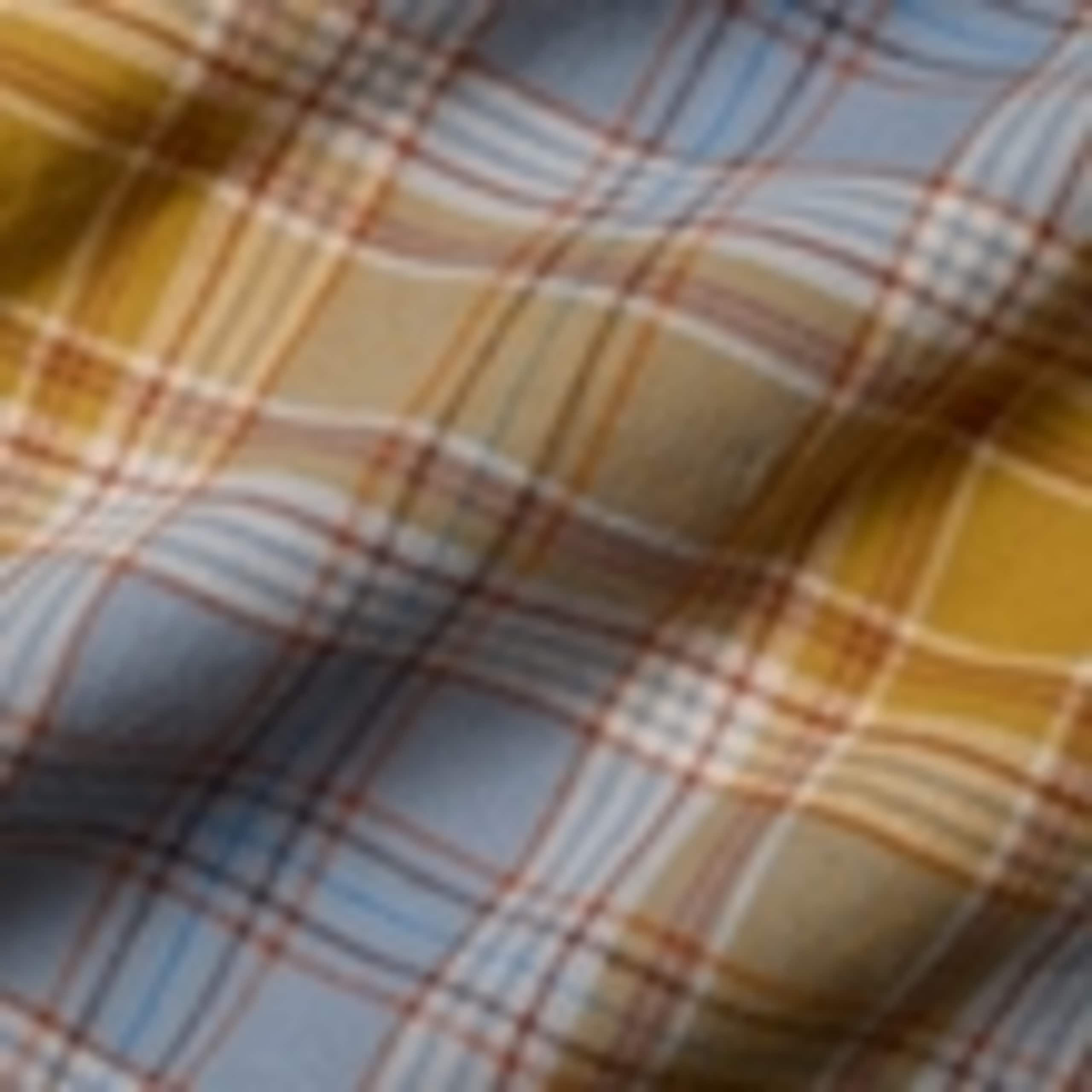 Relaxed Fit Pure Cotton Checked Shirt 5 of 5