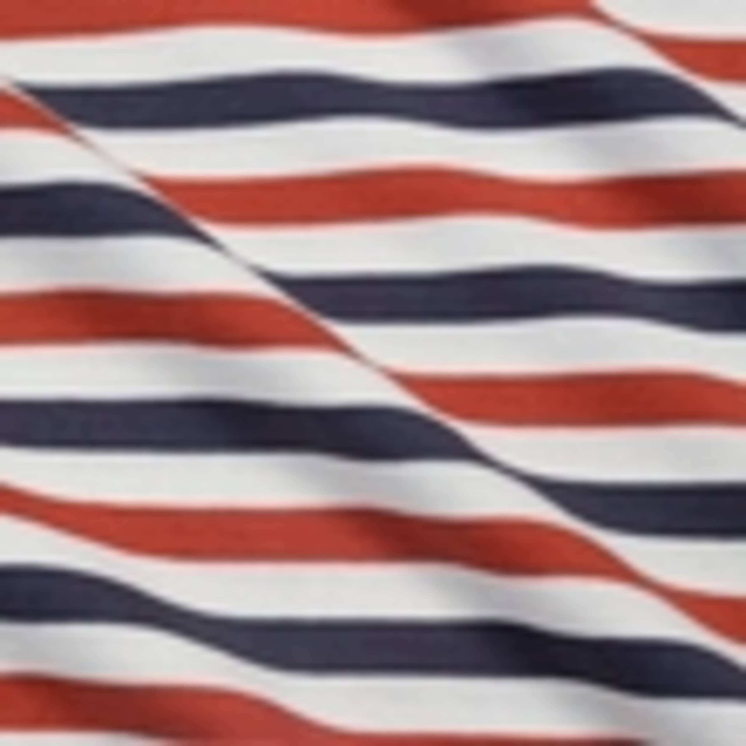 Pure Cotton Striped Crew Neck T-Shirt 6 of 6