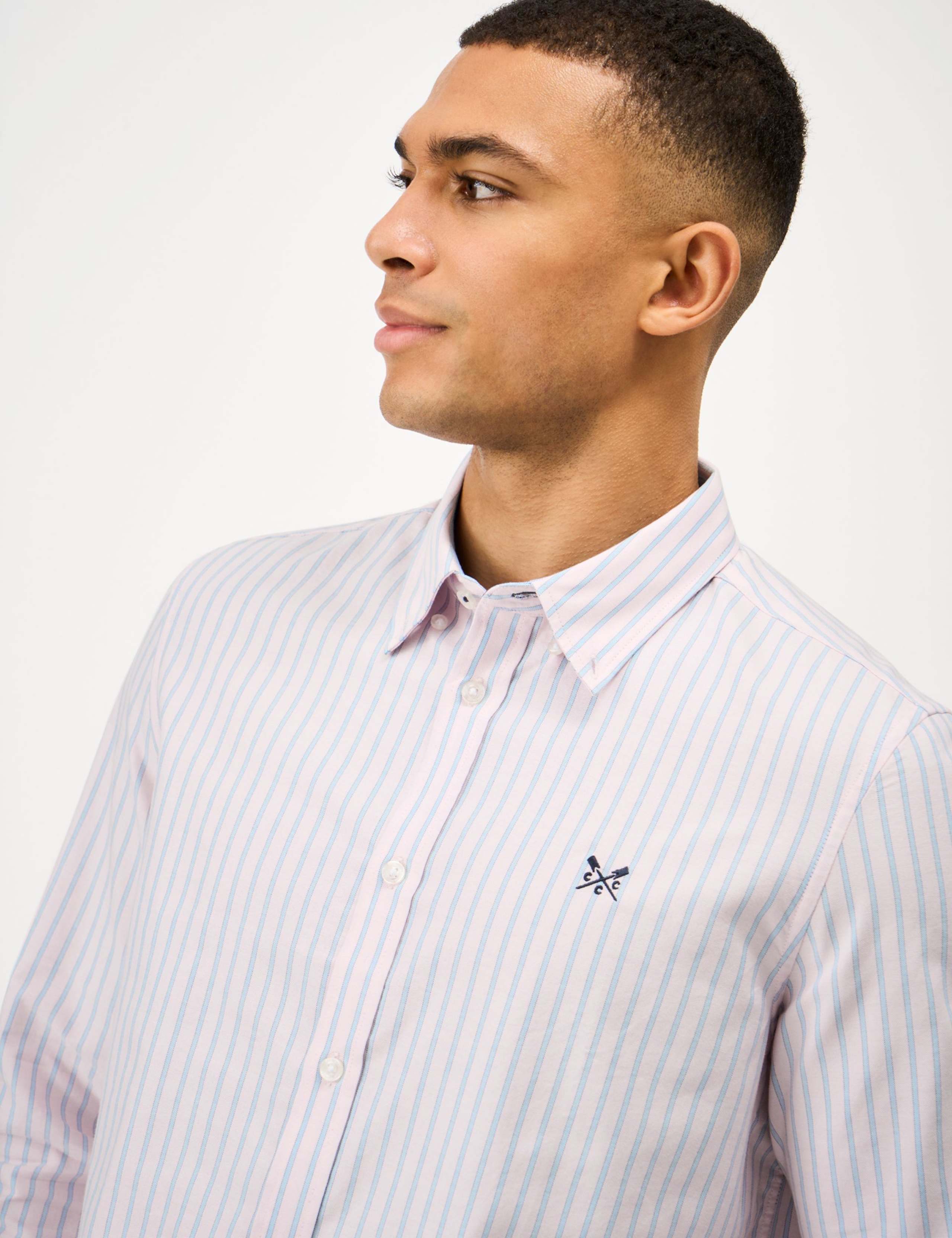 Regular Fit Pure Cotton Striped Oxford Shirt 5 of 5