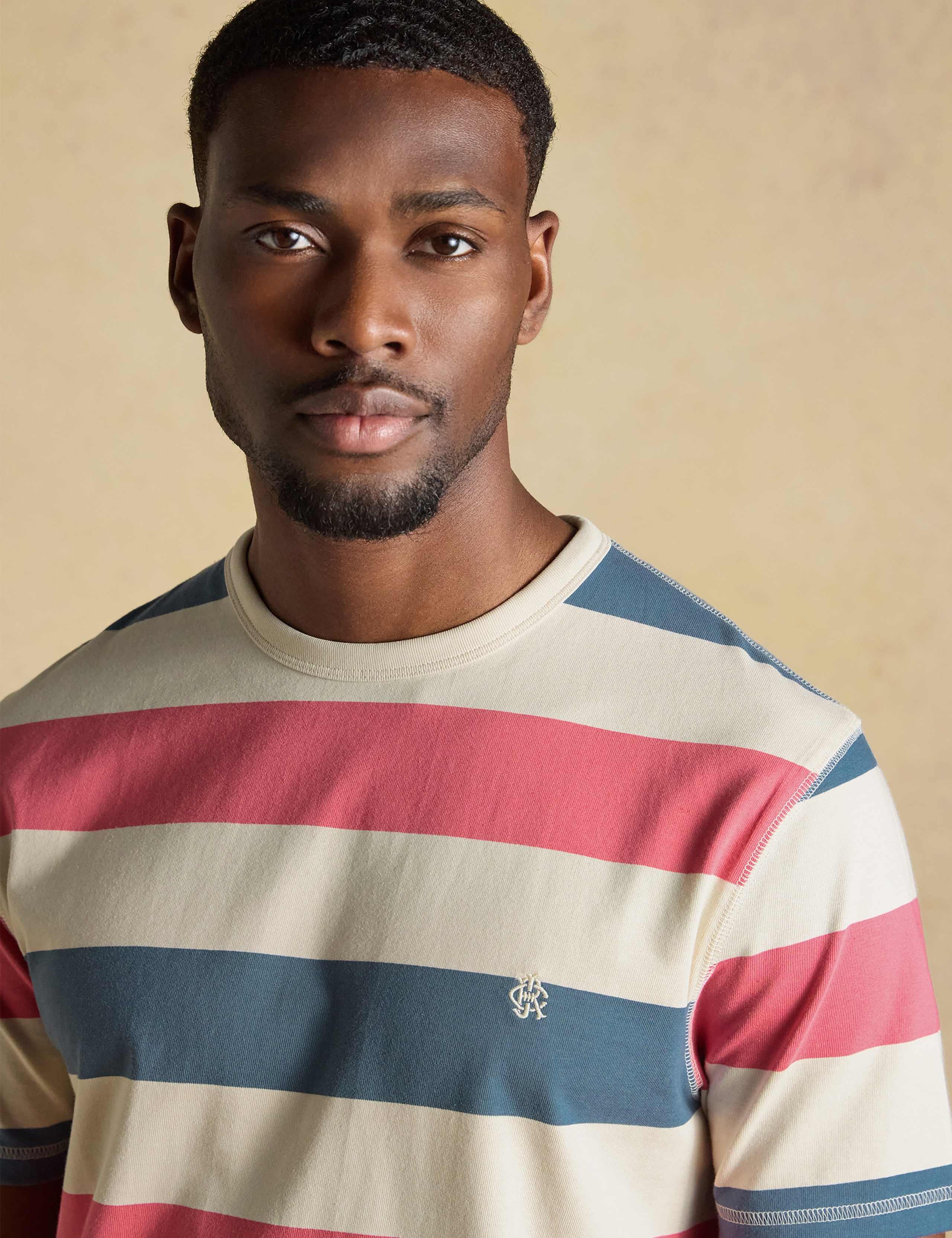 Pure Cotton Striped Crew Neck T-Shirt 3 of 8