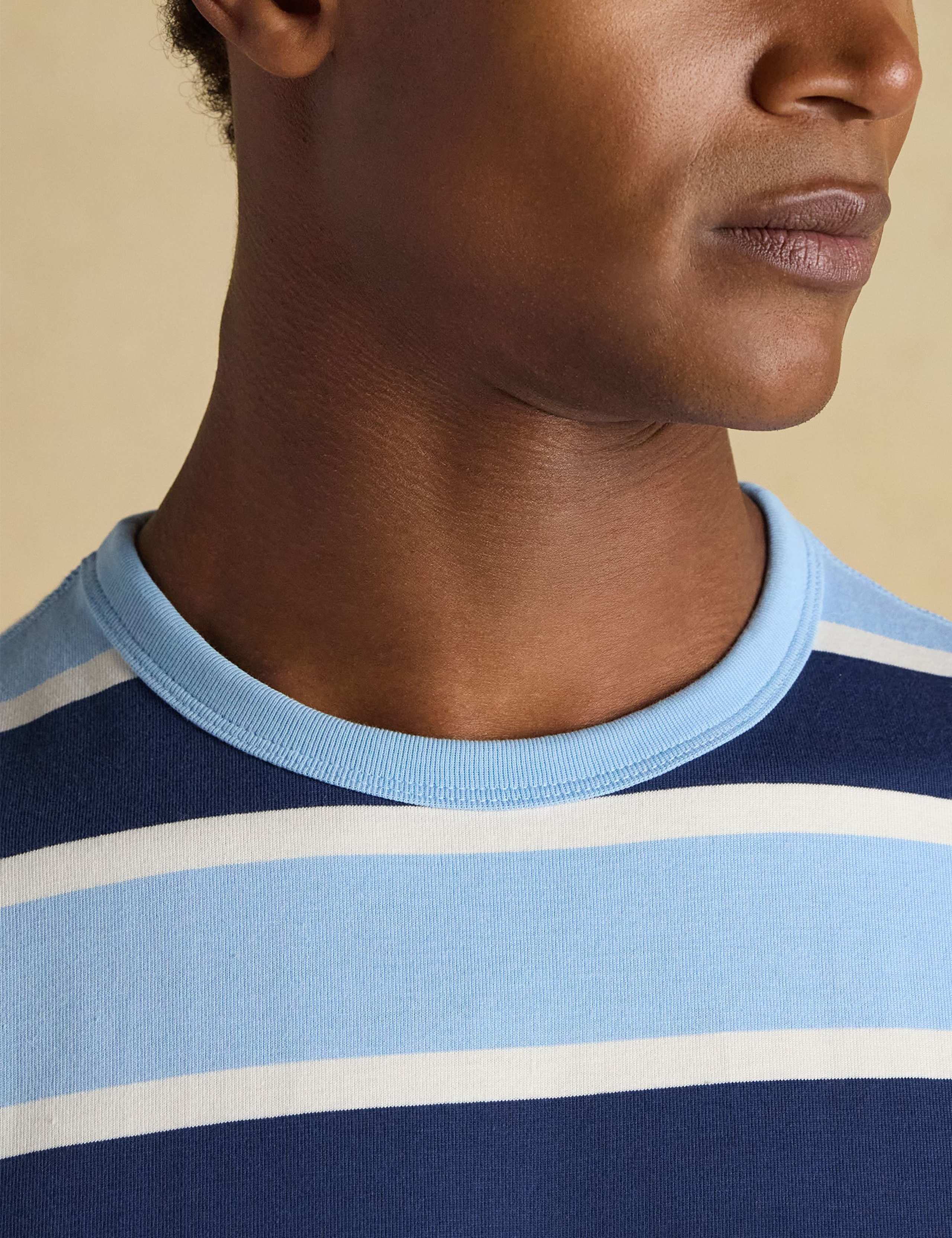 Pure Cotton Striped Crew Neck T-Shirt 8 of 10