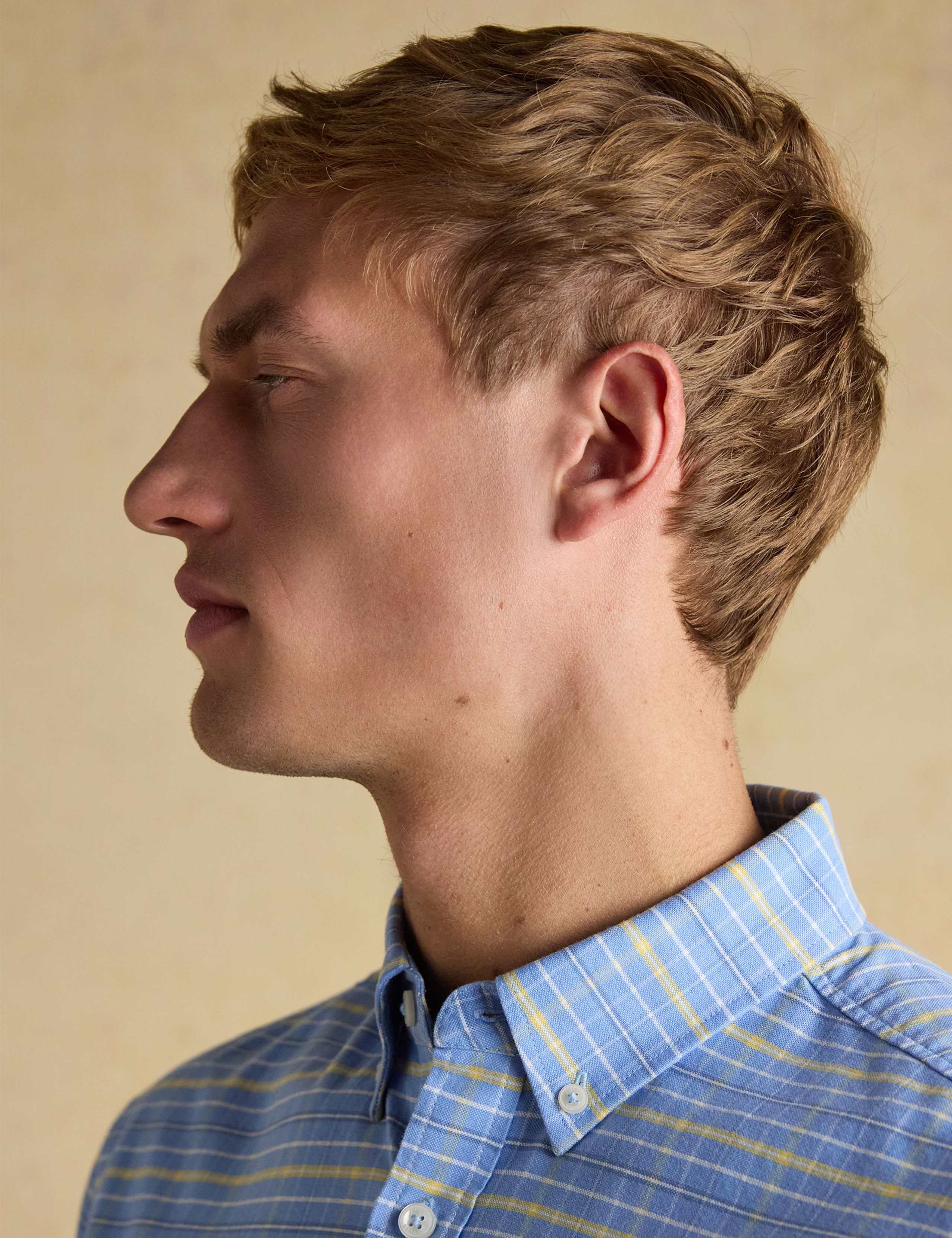 Regular Fit Pure Cotton Checked Oxford Shirt 6 of 11