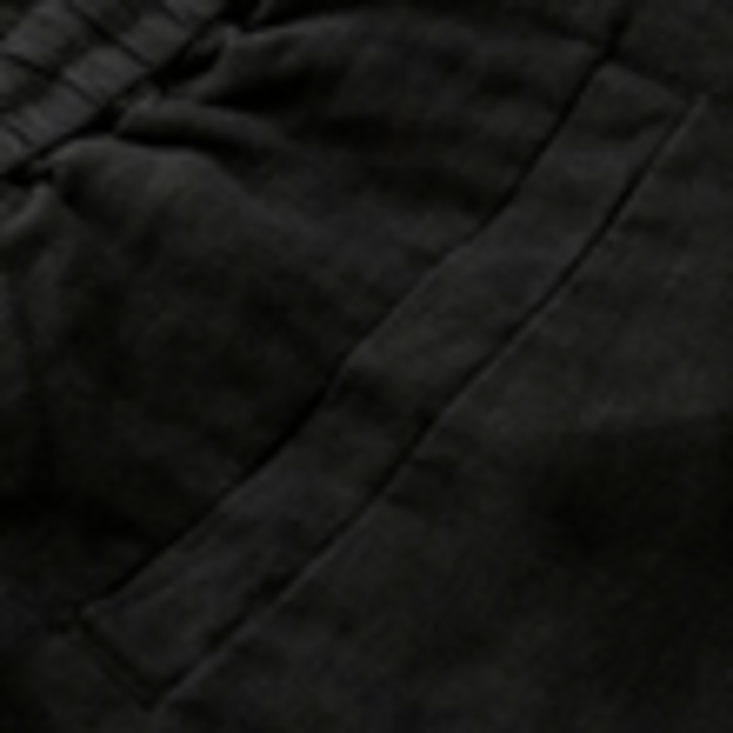 Pure Linen Shorts 5 of 5