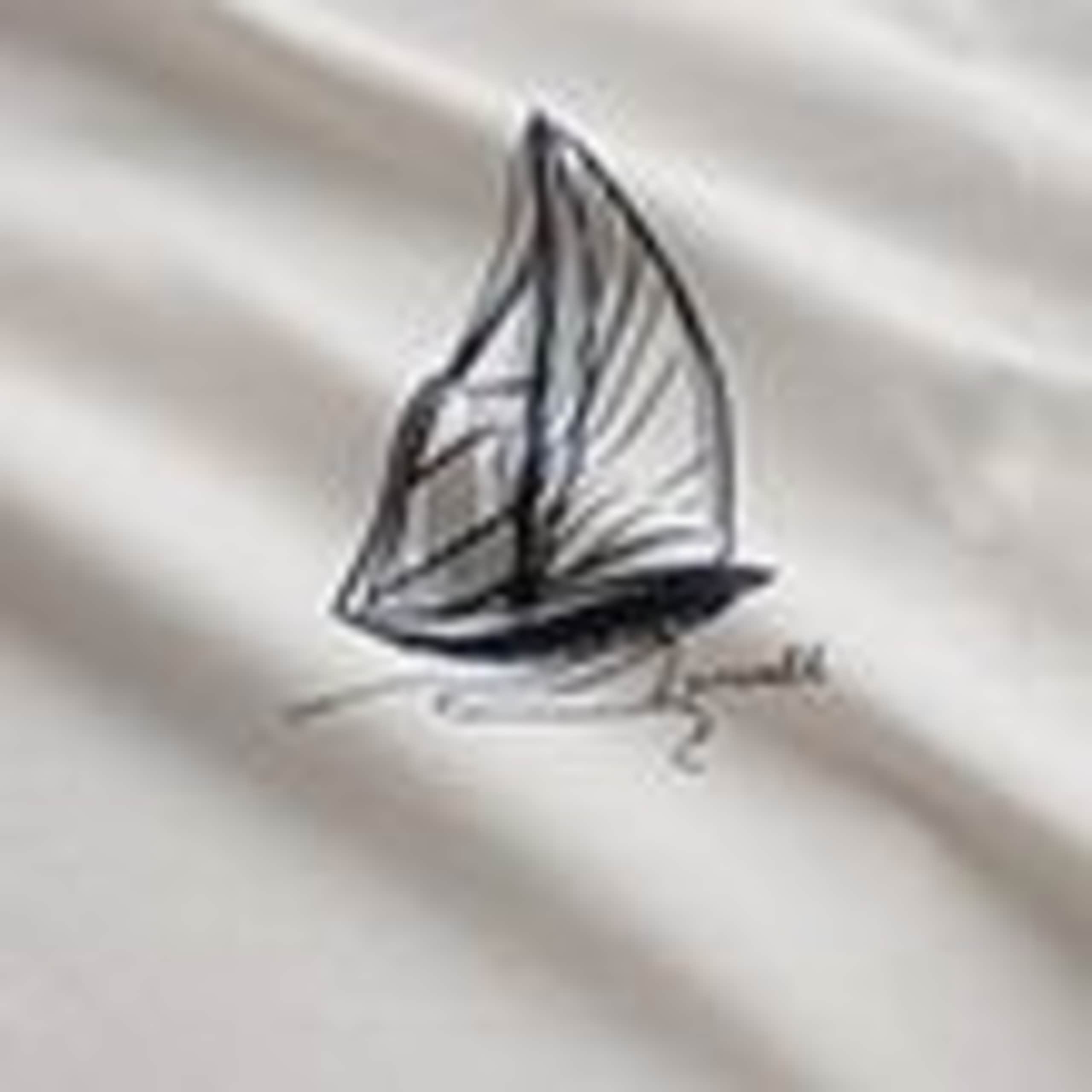 Pure Cotton Sailboat Graphic T-Shirt 5 of 5