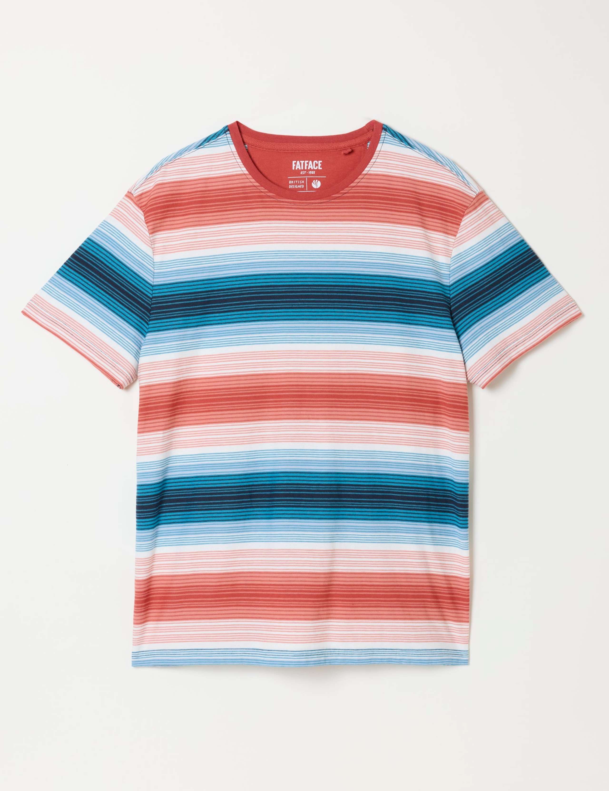 Pure Cotton Jersey Ombre Striped T-Shirt 2 of 5