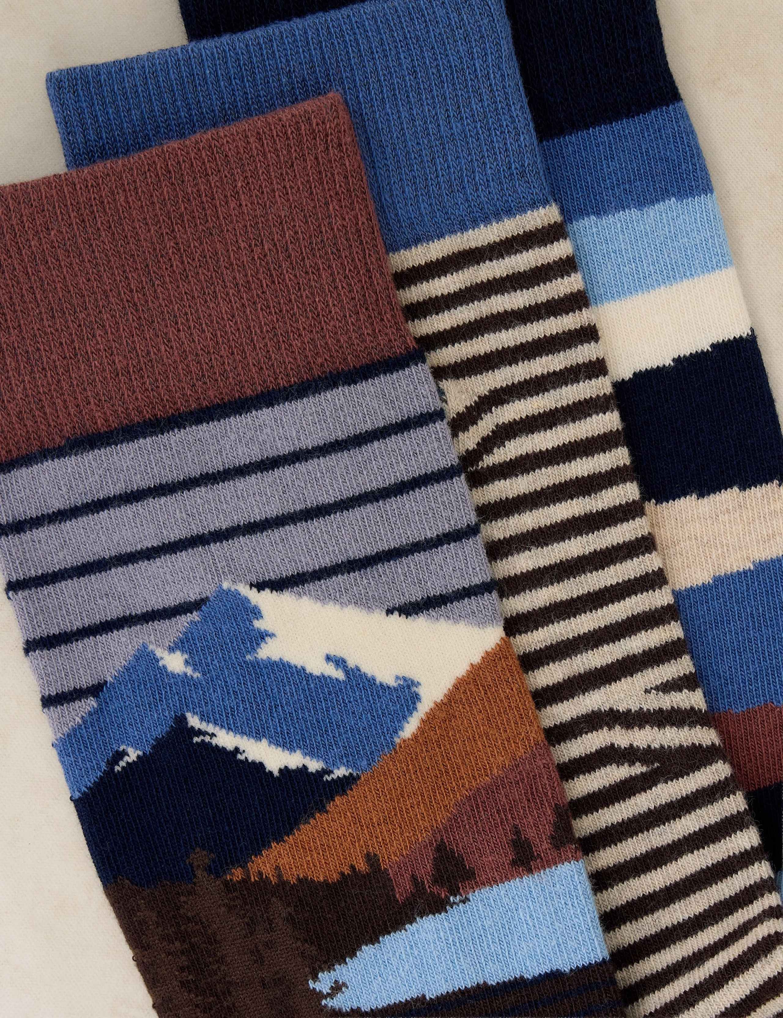 3 Pack Forest Explorer Cotton Rich Socks 2 of 2