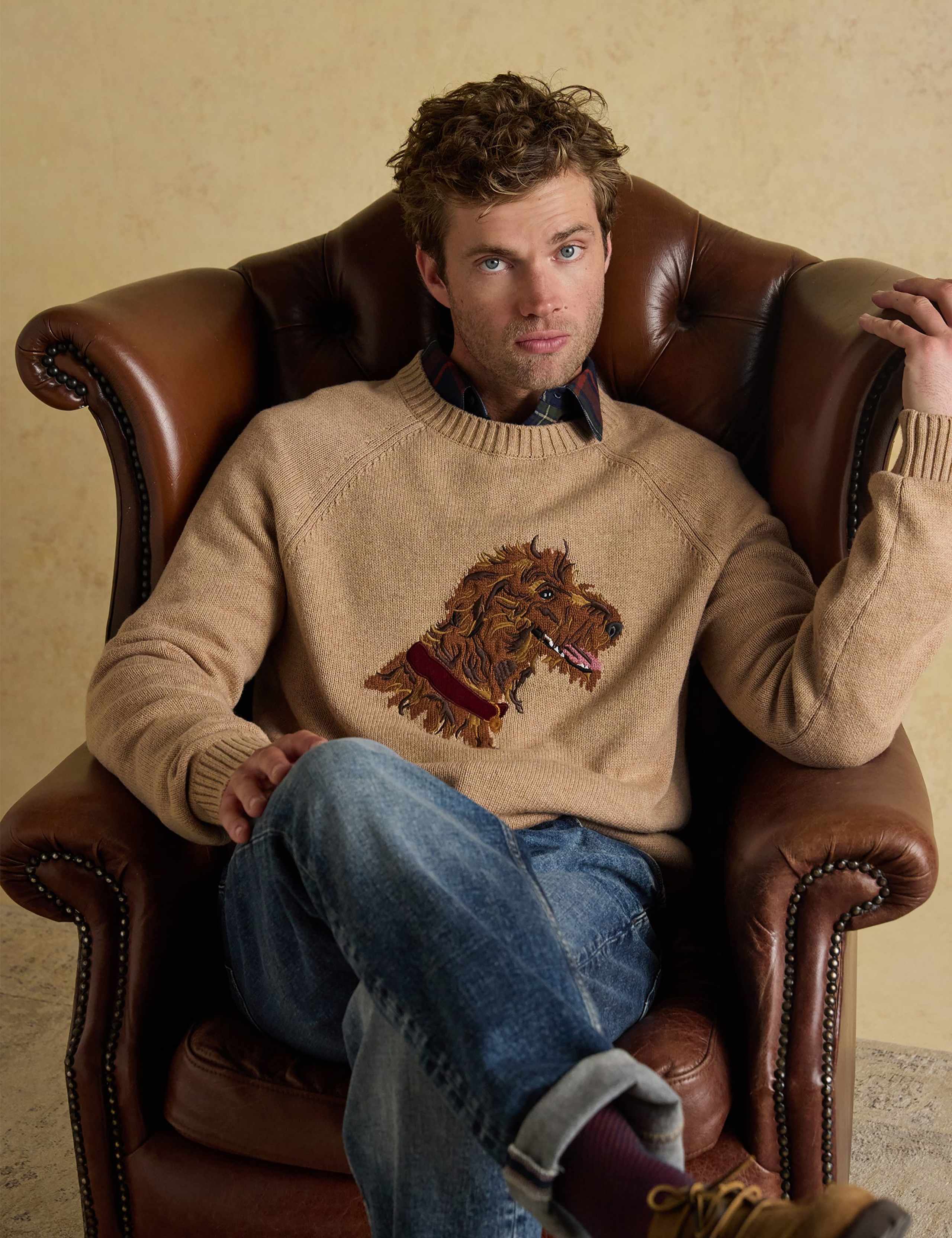 Cotton Rich Irish Wolfhound Jumper 4 of 8