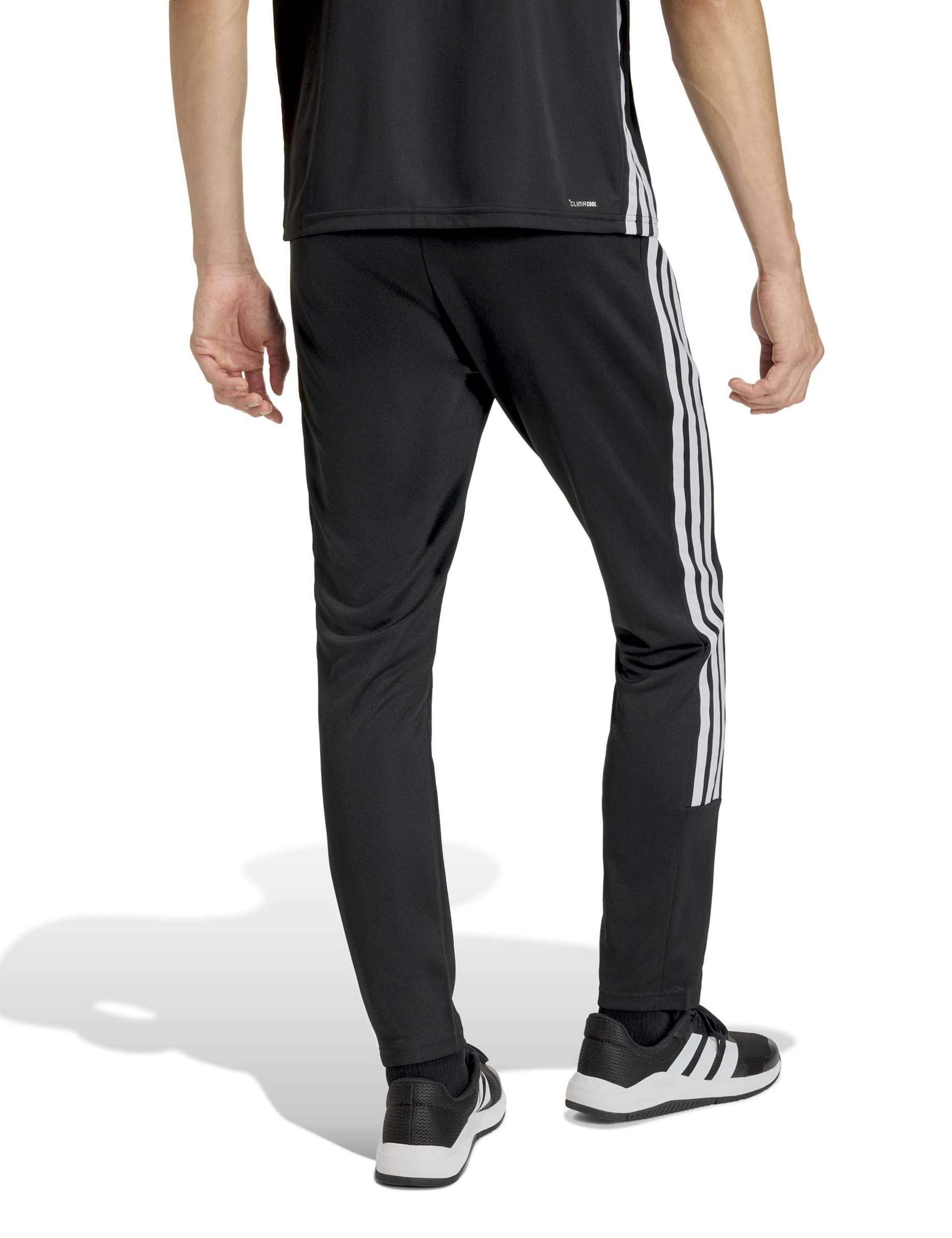 3-Stripes Tapered Fit Gym Joggers 3 of 6