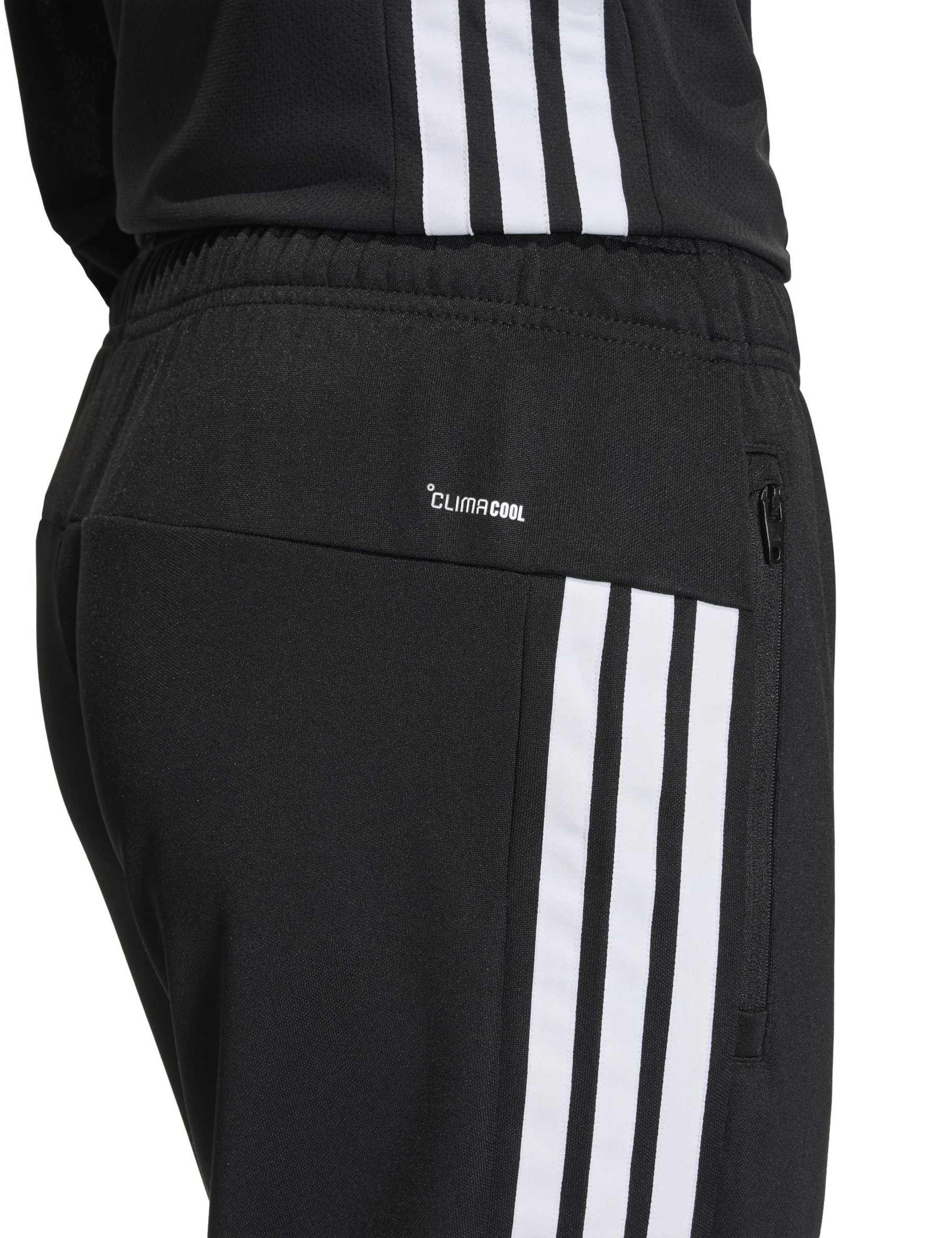 3-Stripes Tapered Fit Gym Joggers 6 of 6