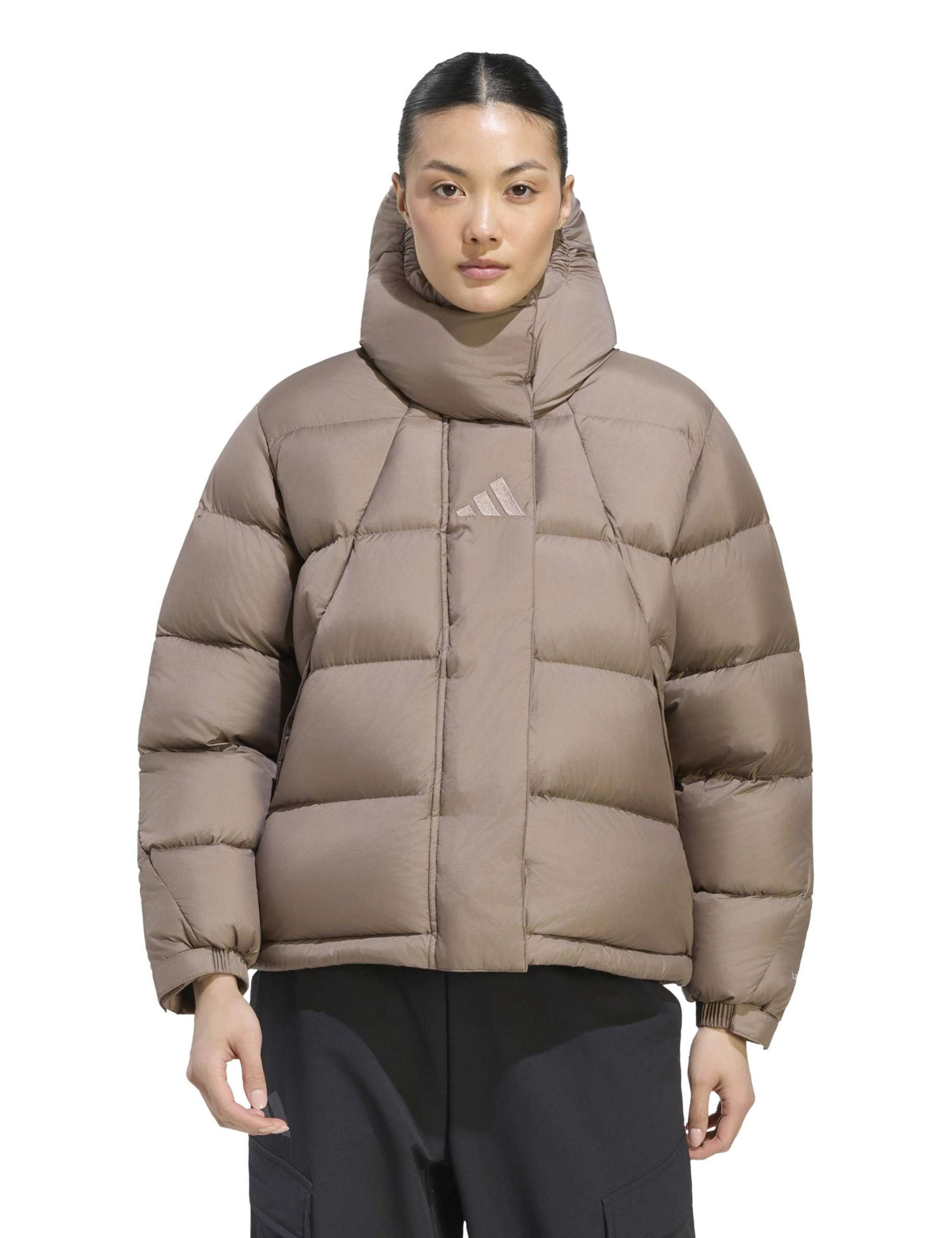 Down Hooded Puffer Jacket 1 of 7
