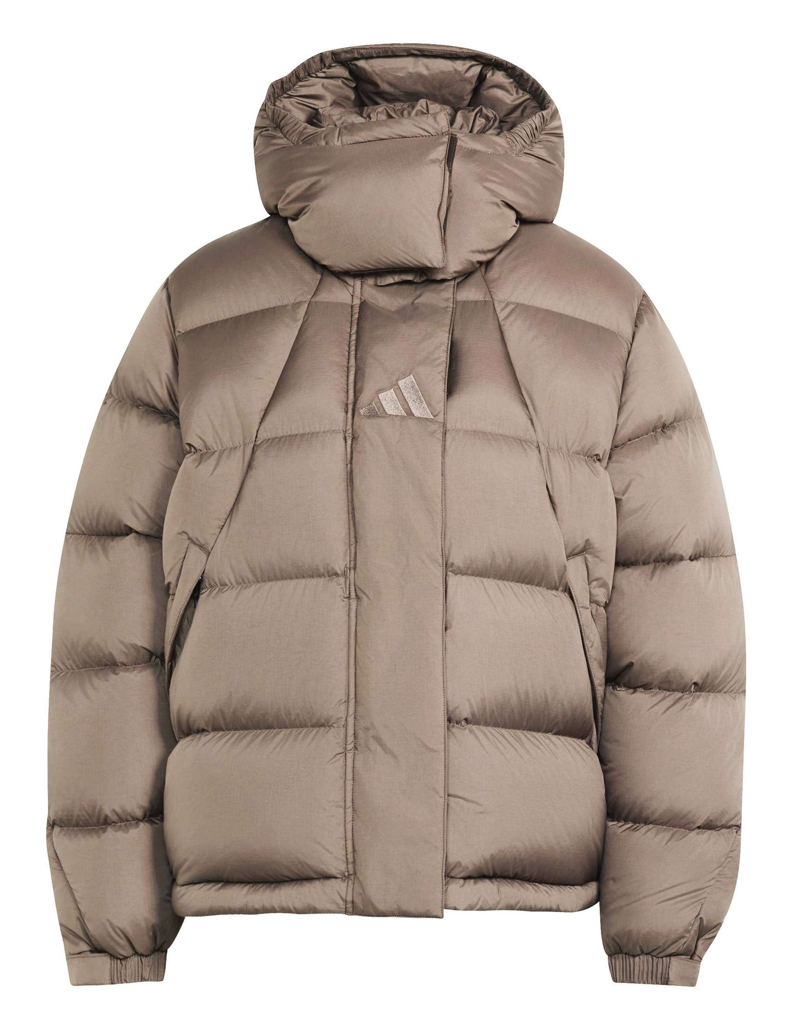 Down Hooded Puffer Jacket 2 of 7
