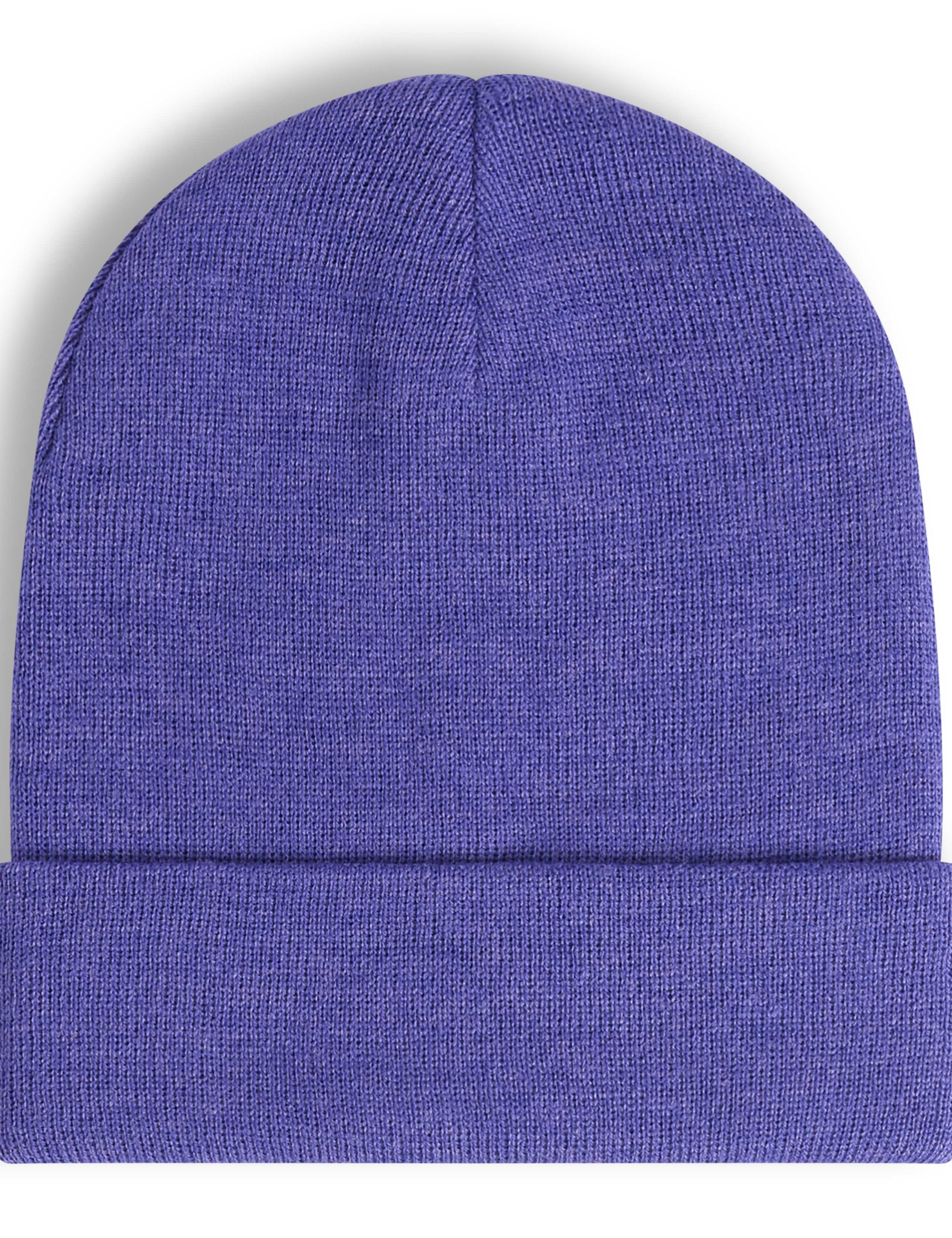 Classic Rolled Cuff Woven Logo Beanie 2 of 4
