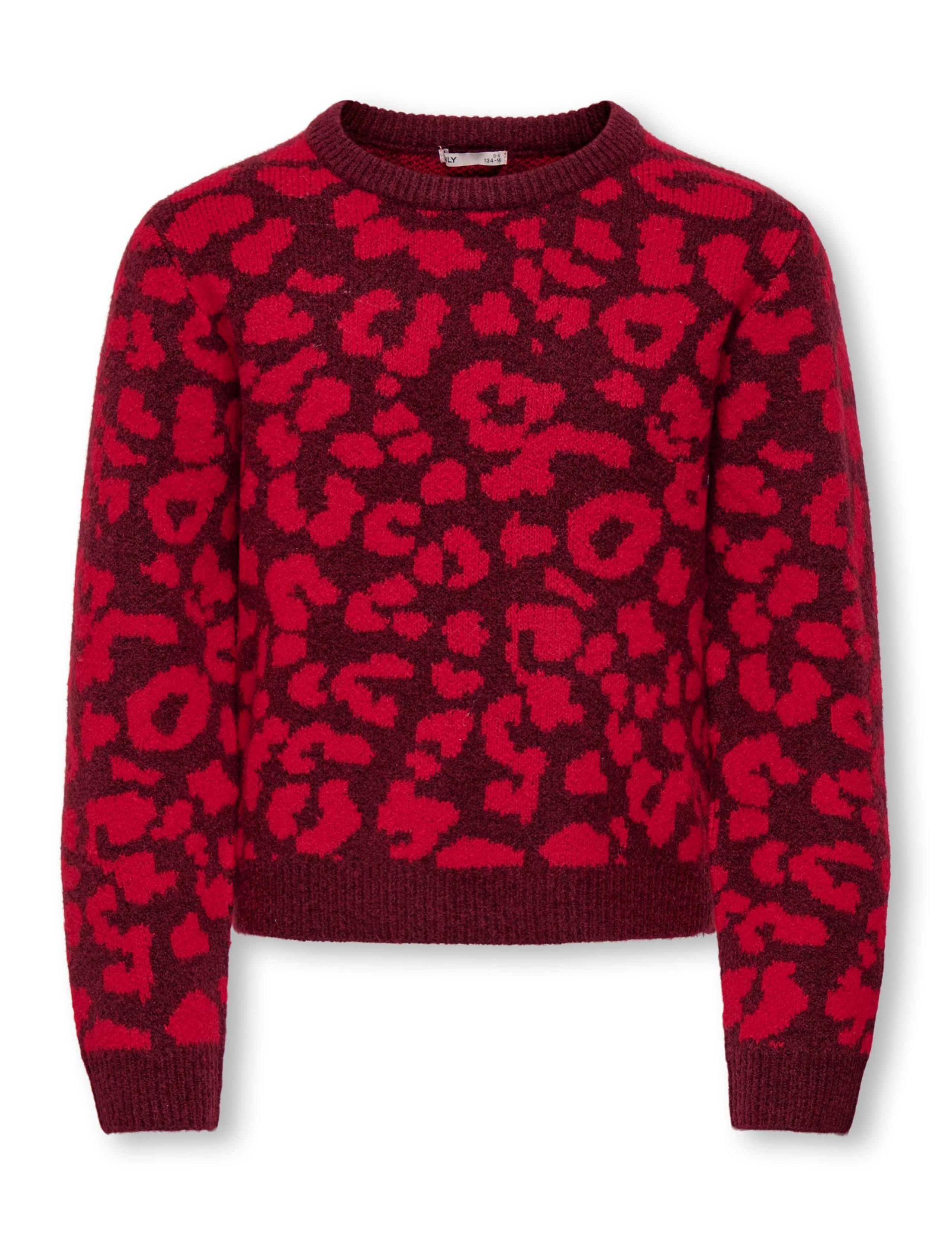 Leopard Print Jumper (7-14 Yrs) 1 of 1