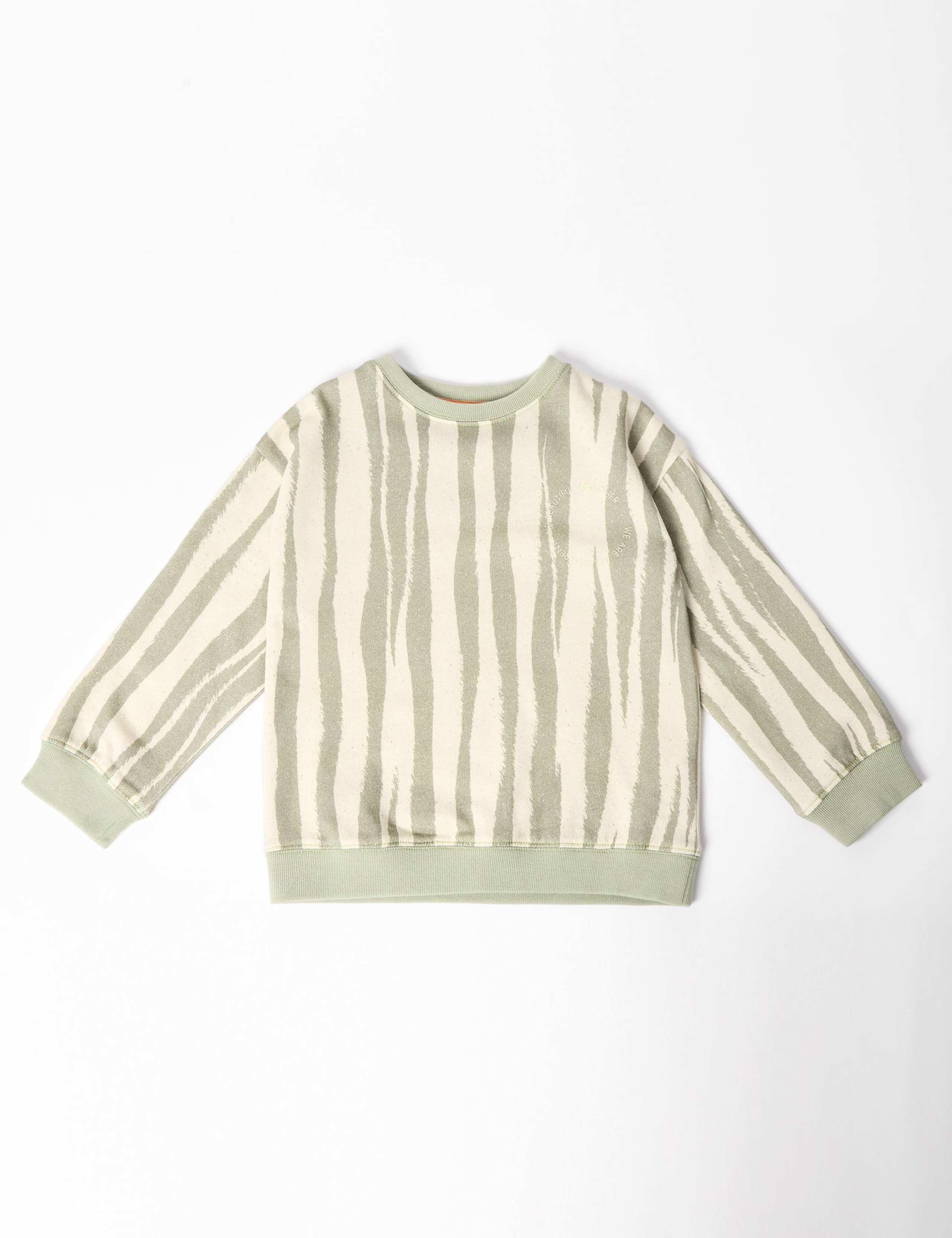 Pure Cotton Tiger Stripe Sweatshirt (2-8 Yrs) 2 of 7