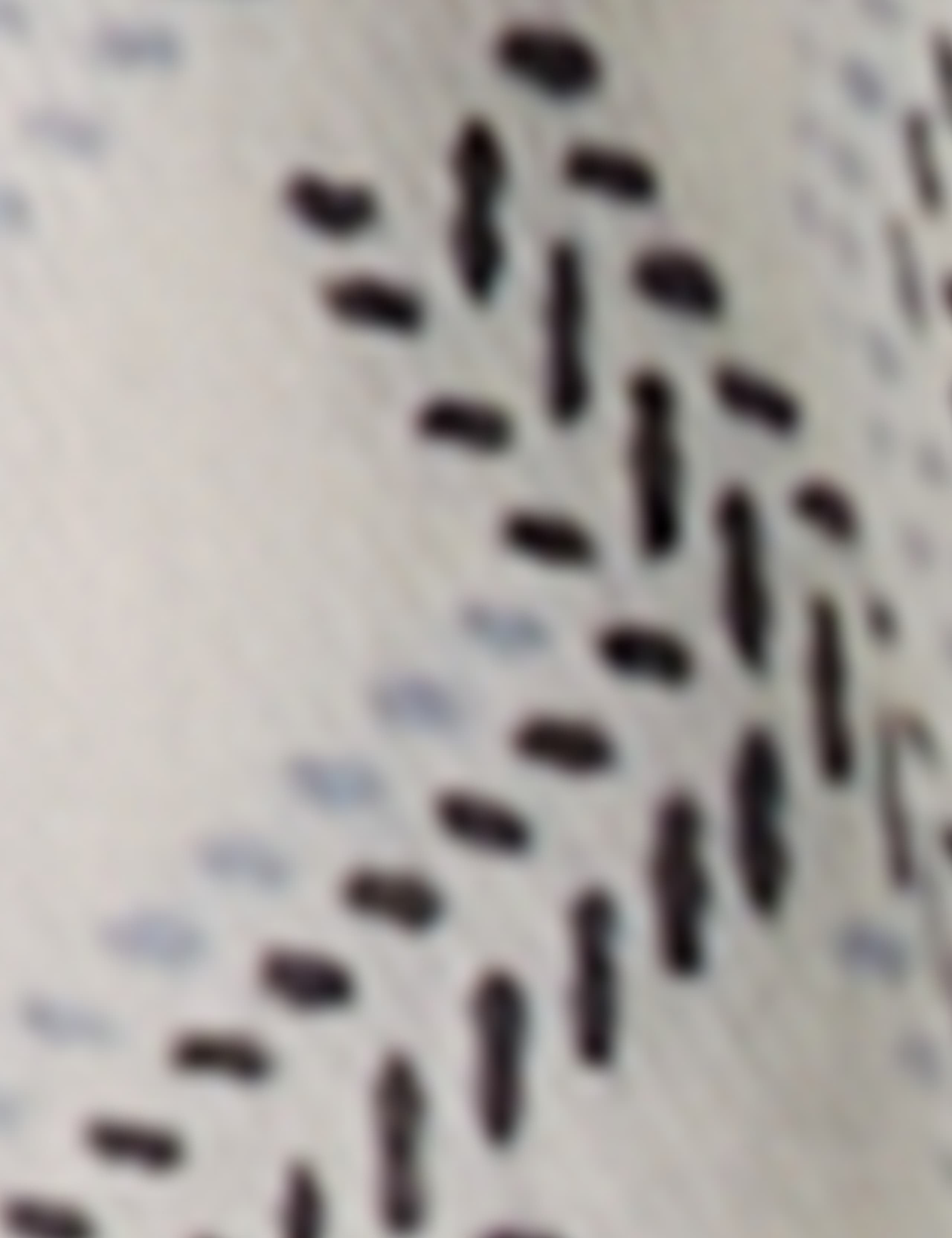 TH Monogram Cotton Modal Printed Scarf 5 of 5